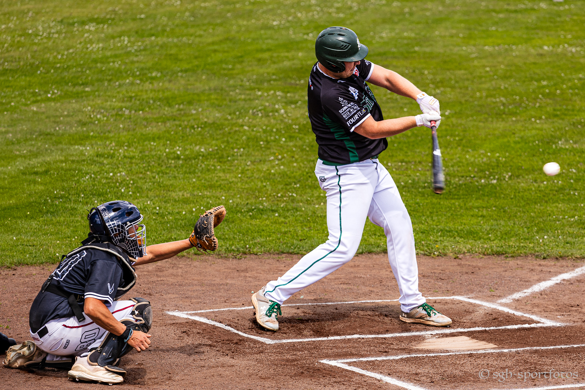 Baseball Solingen Alligators