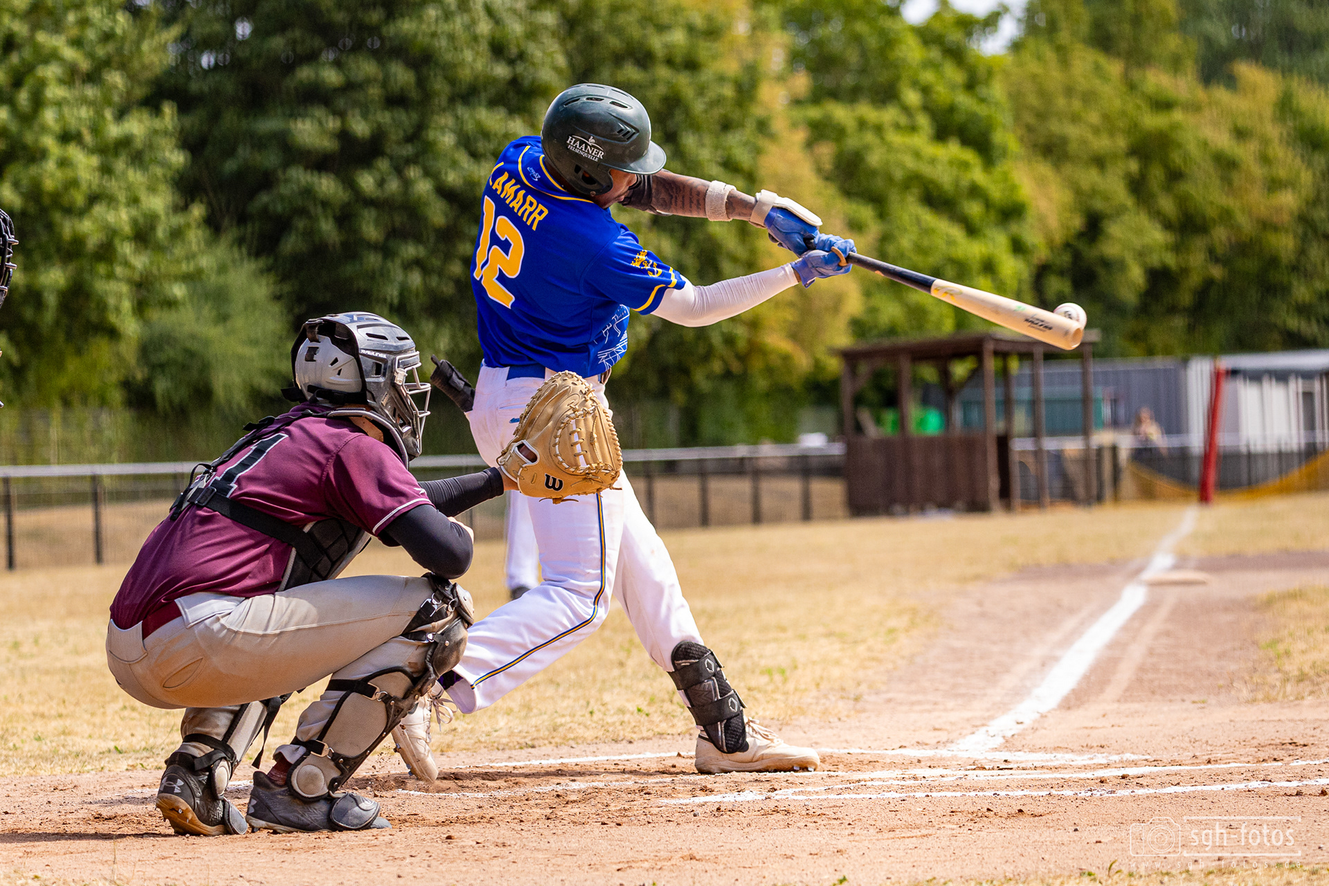 Baseball Solingen Alligators