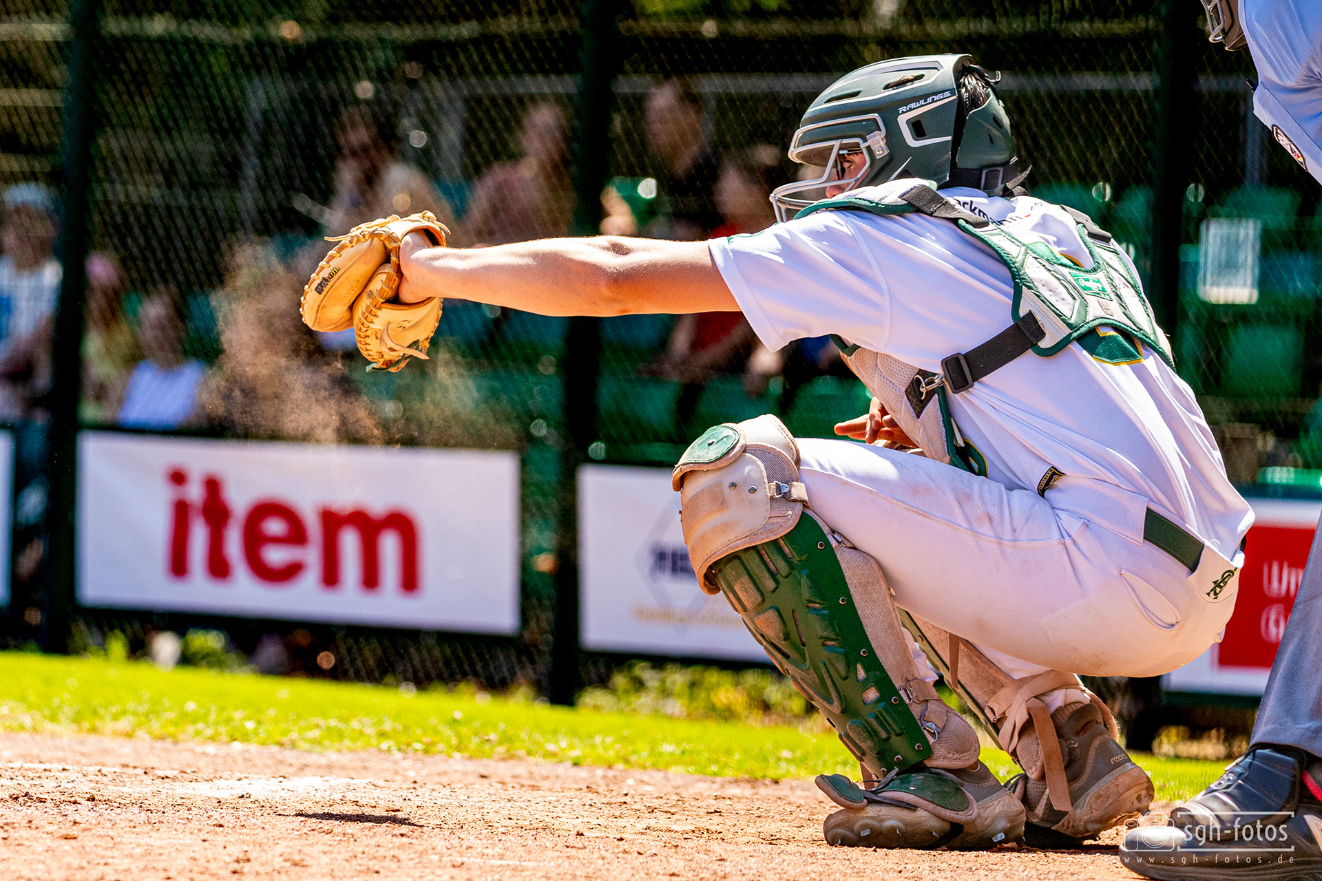 Baseball Solingen Alligators