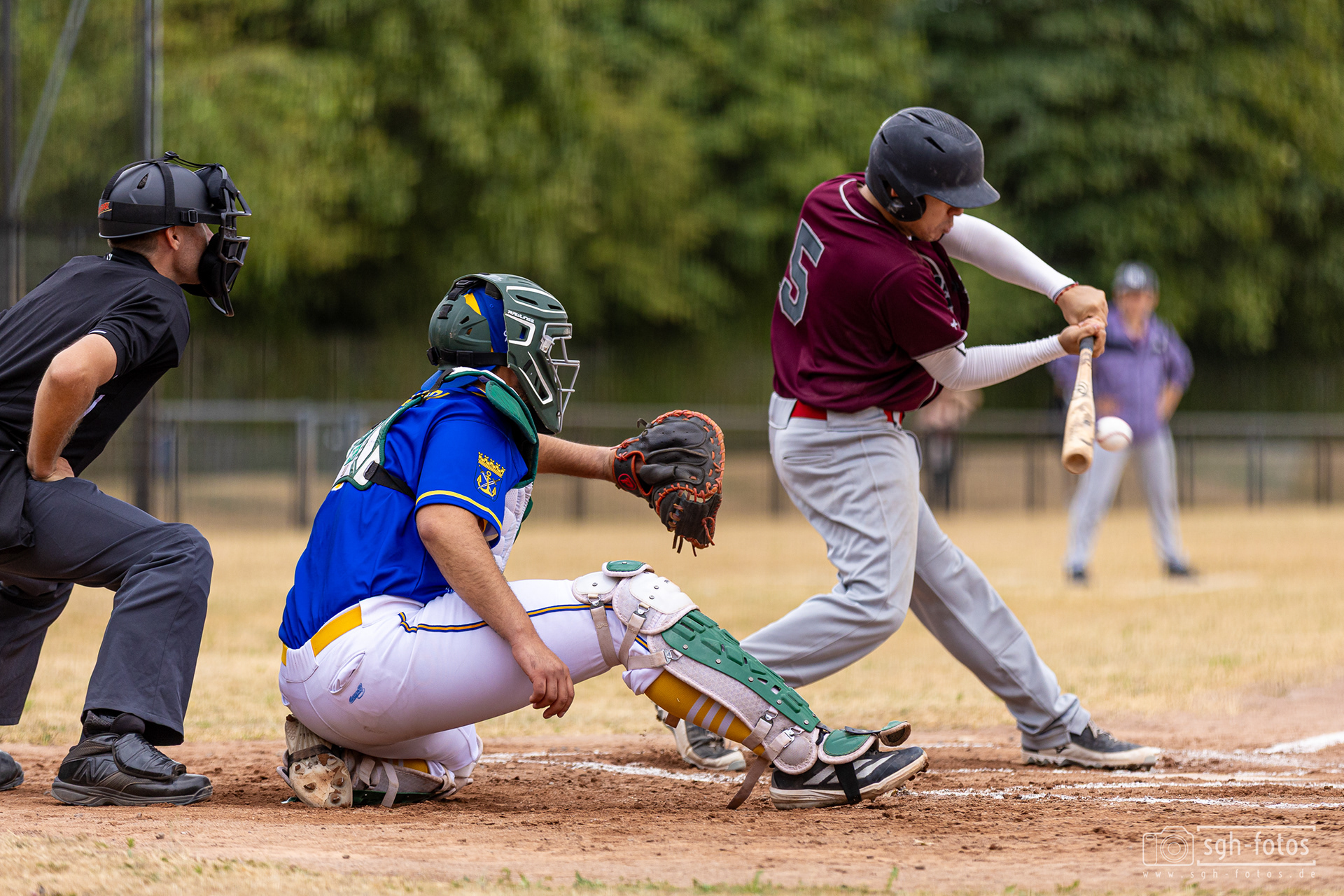 Baseball Solingen Alligators