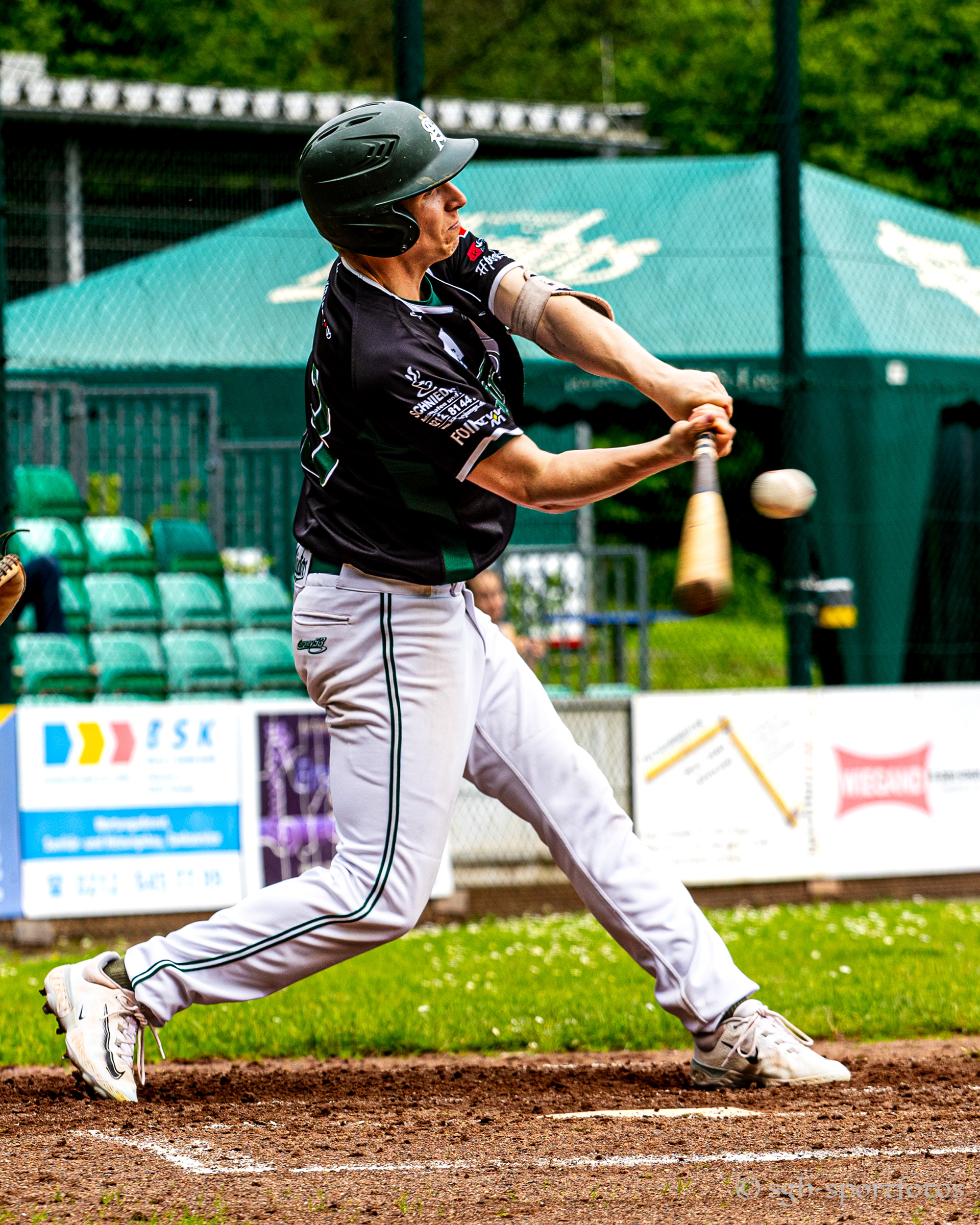 Baseball Solingen Alligators