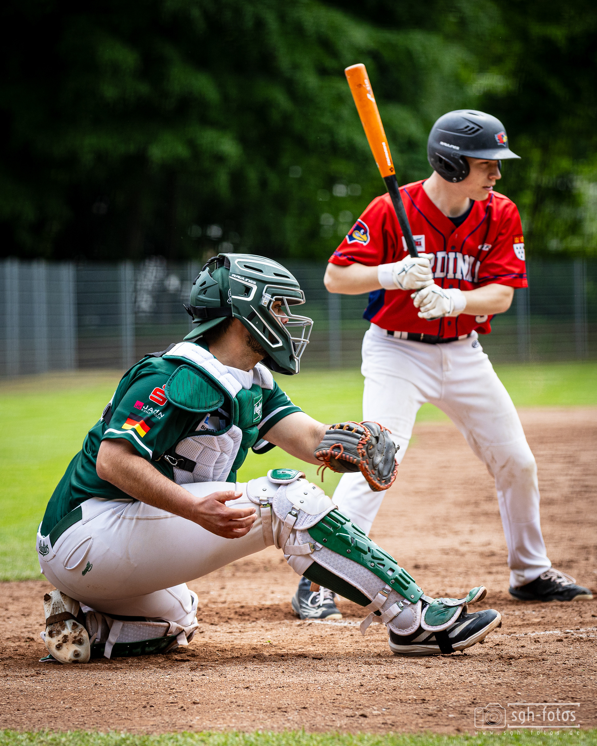 Baseball Solingen Alligators