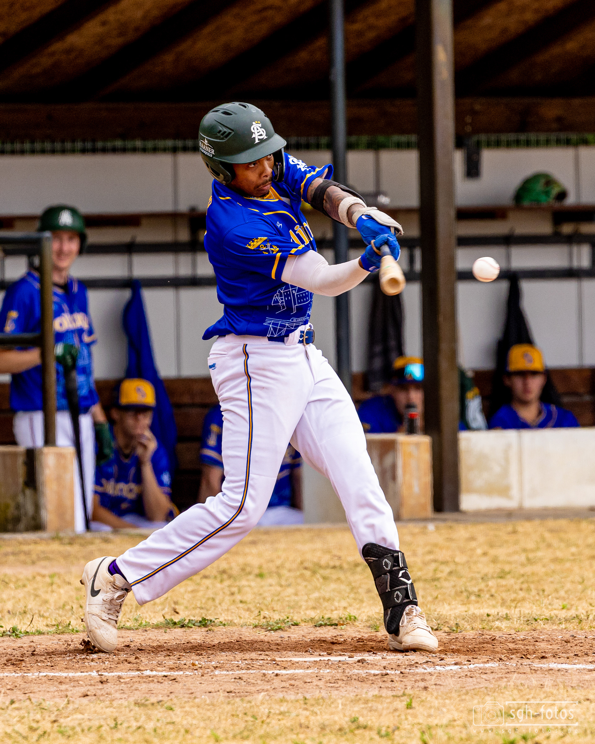 BasBaseball Solingen Alligatorseball Solingen Alligators