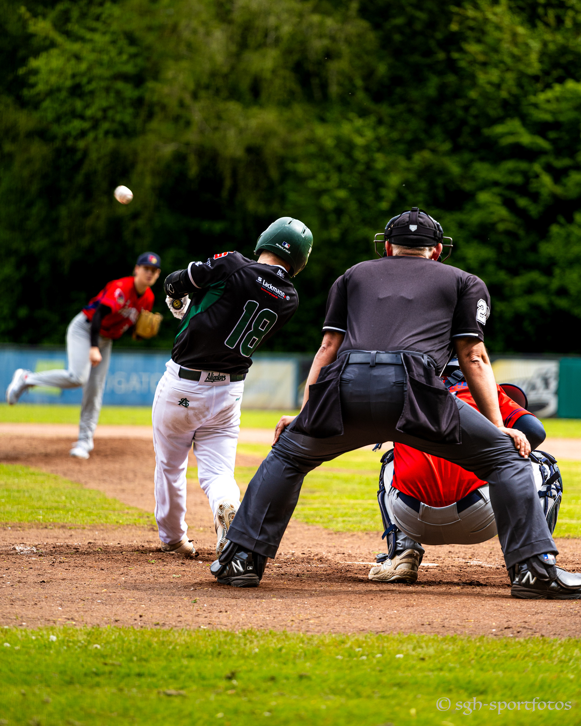 Baseball Solingen Alligators