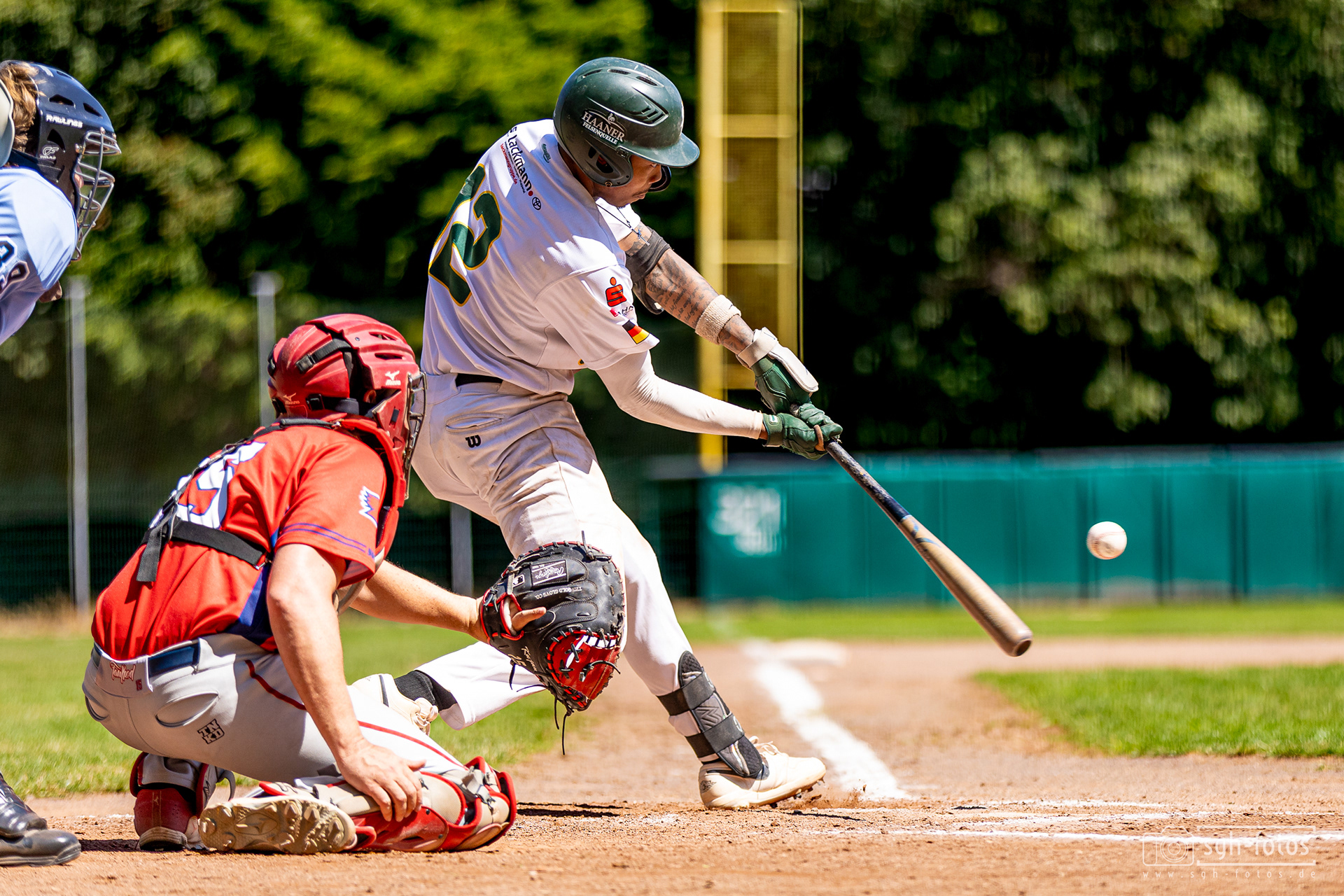 Baseball Solingen Alligators
