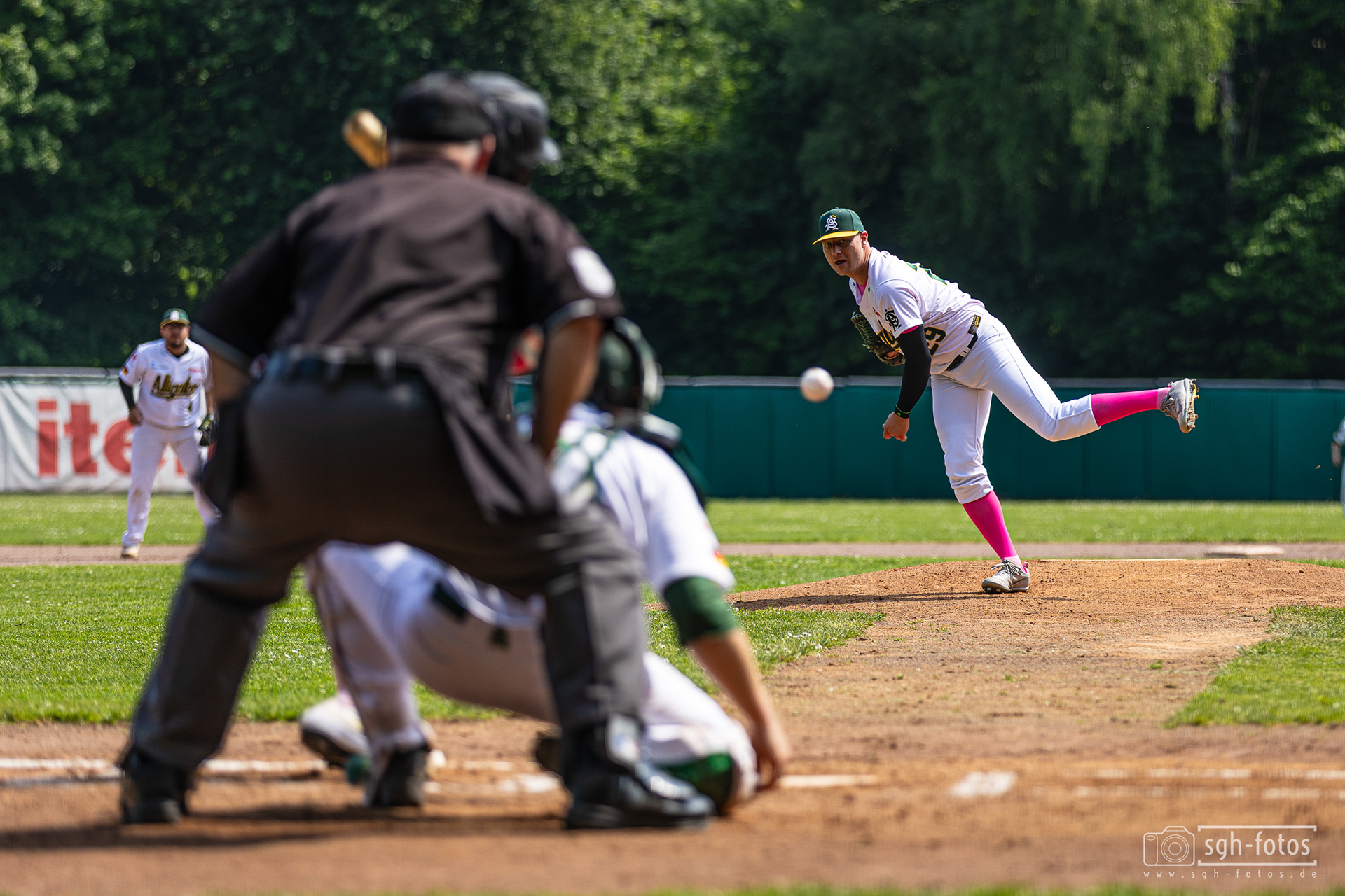 Baseball Solingen Alligators
