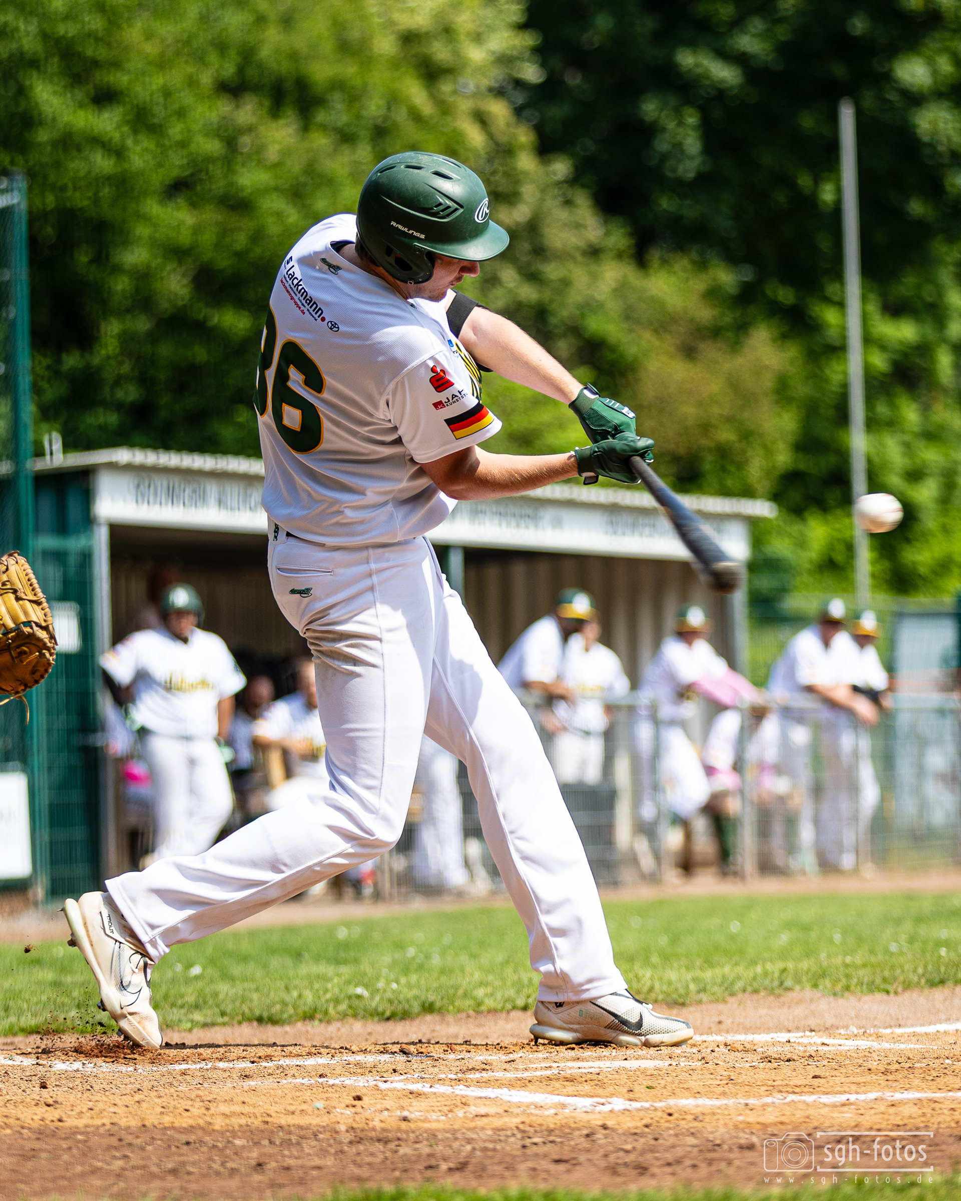 Baseball Solingen Alligators