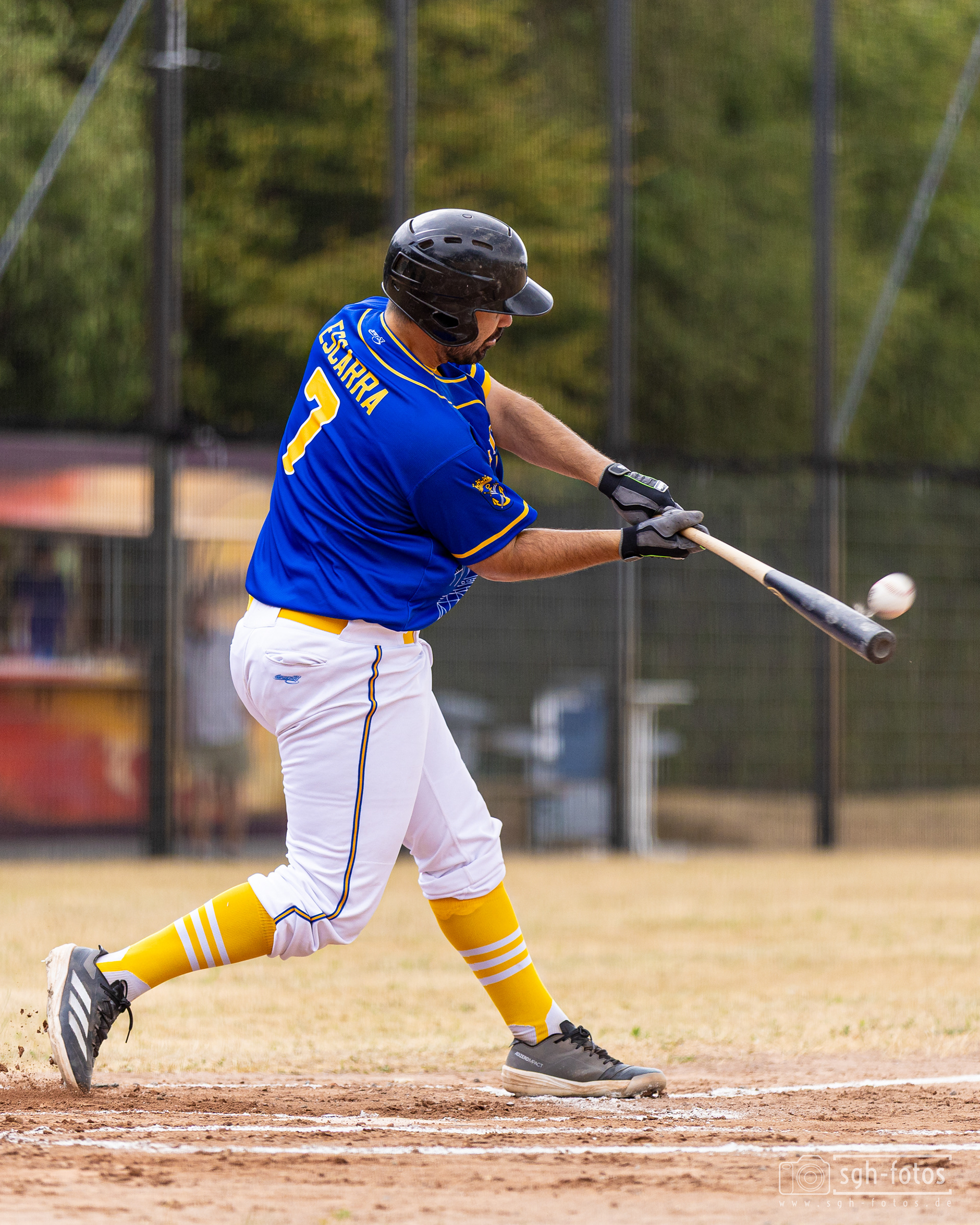 Baseball Solingen Alligators