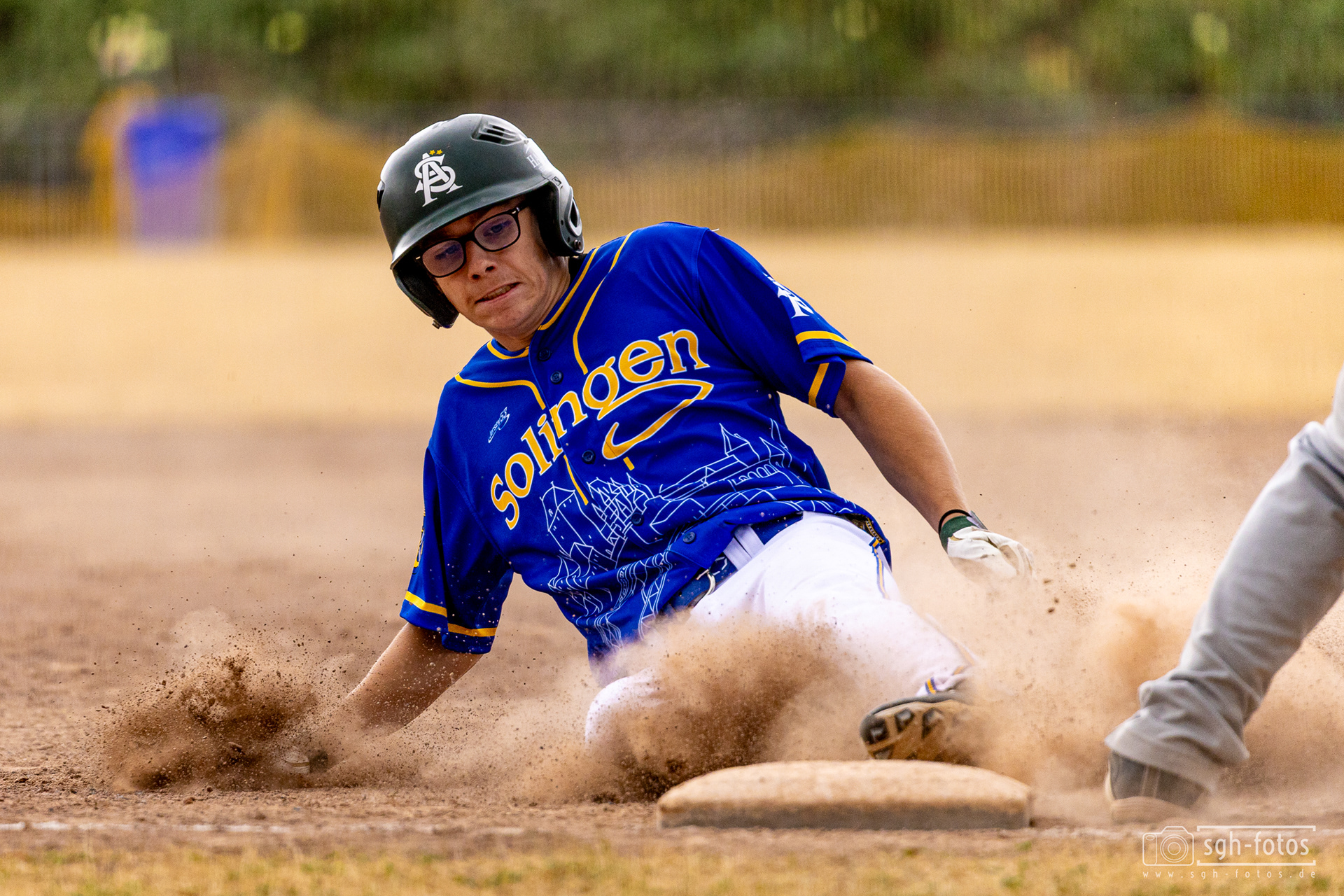 Baseball Solingen Alligators