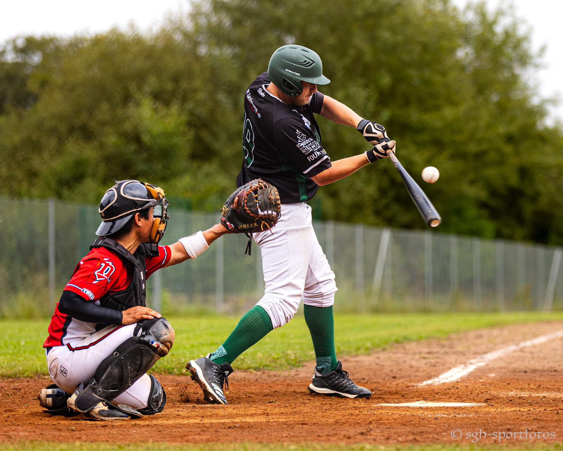 Baseball Solingen Alligators