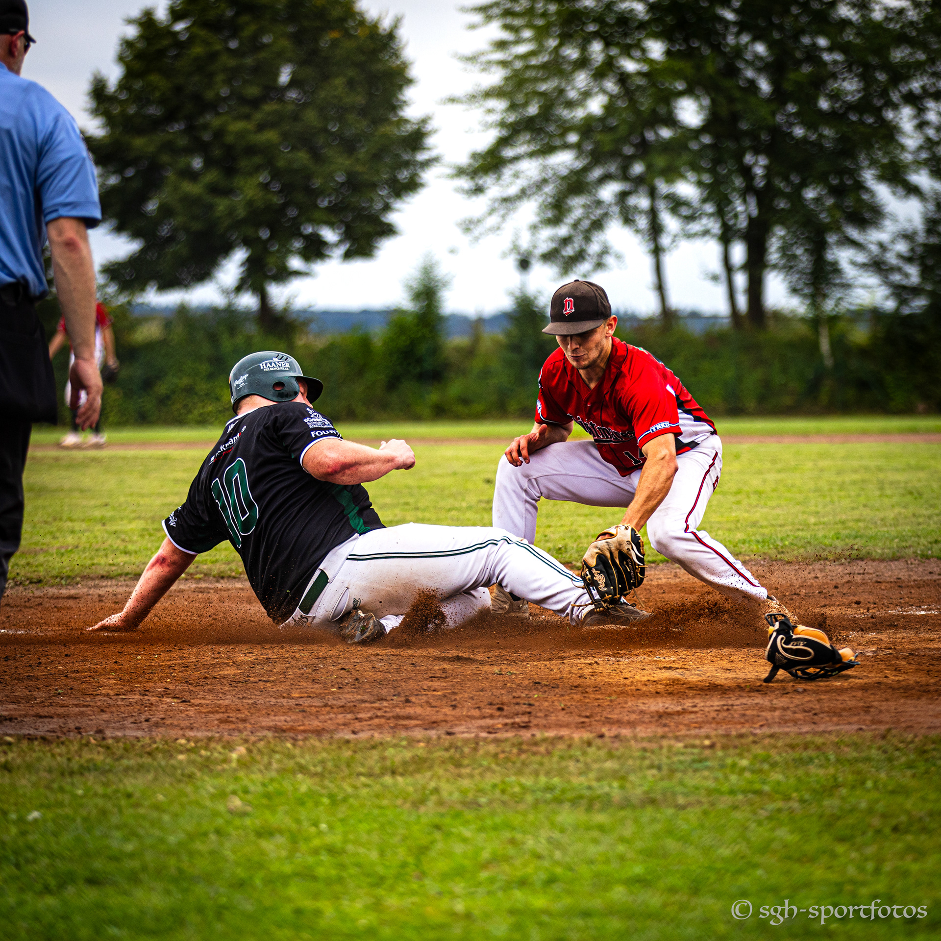 Baseball Solingen Alligators