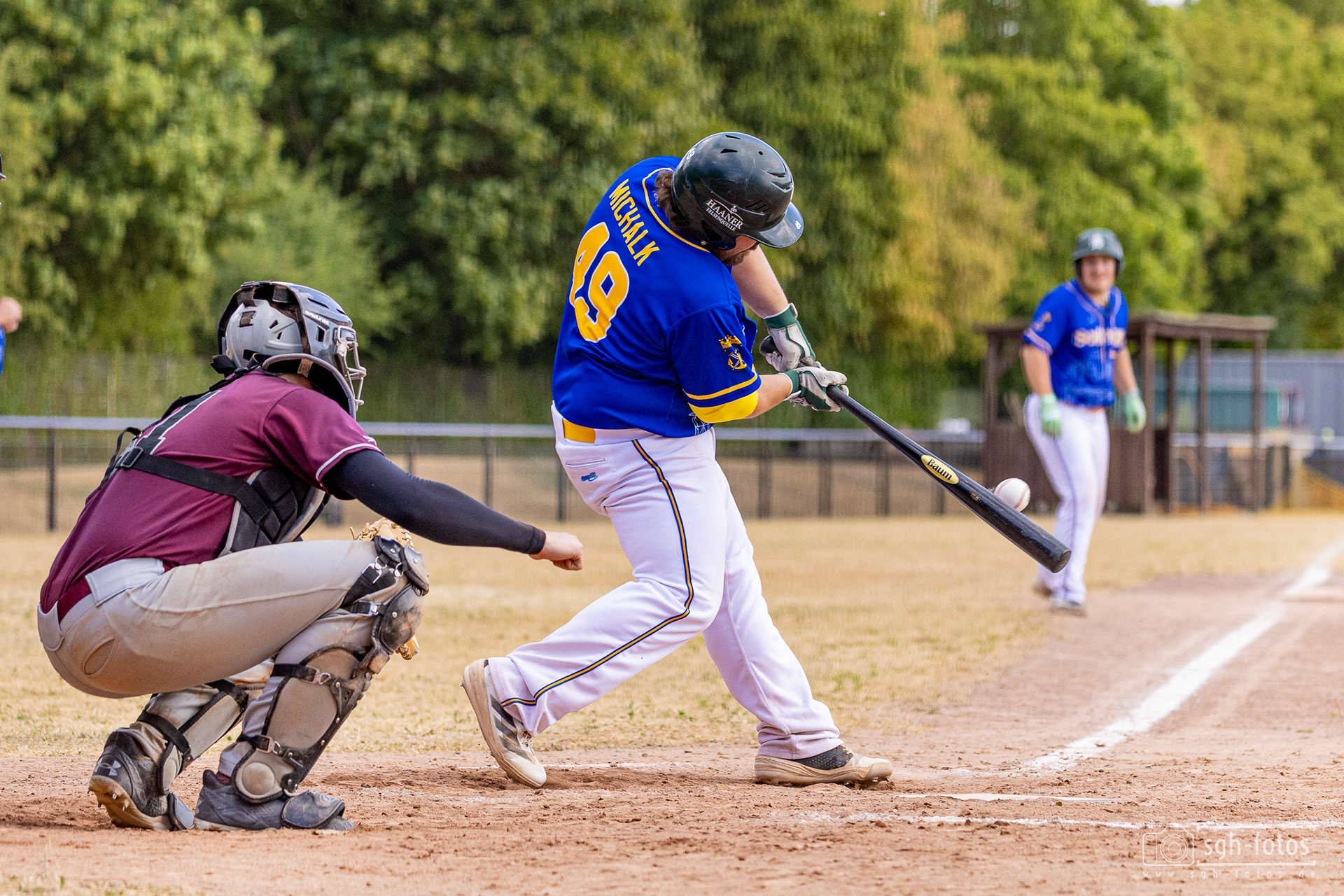 Baseball Solingen Alligators