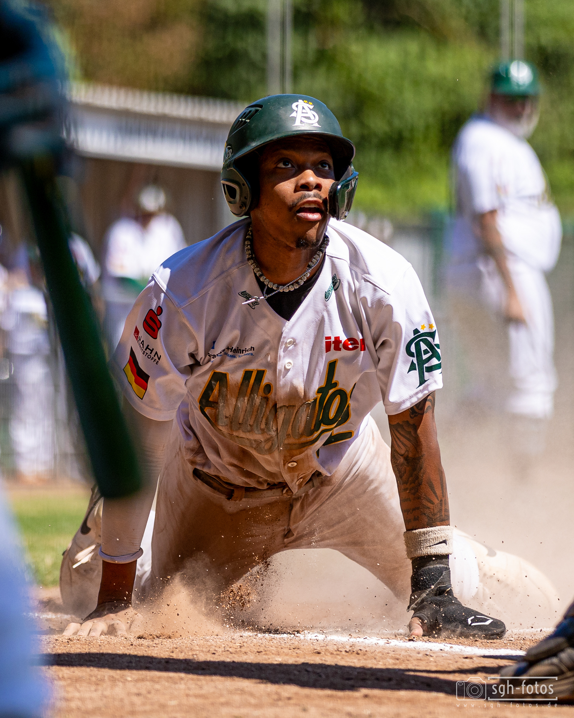 Baseball Solingen Alligators