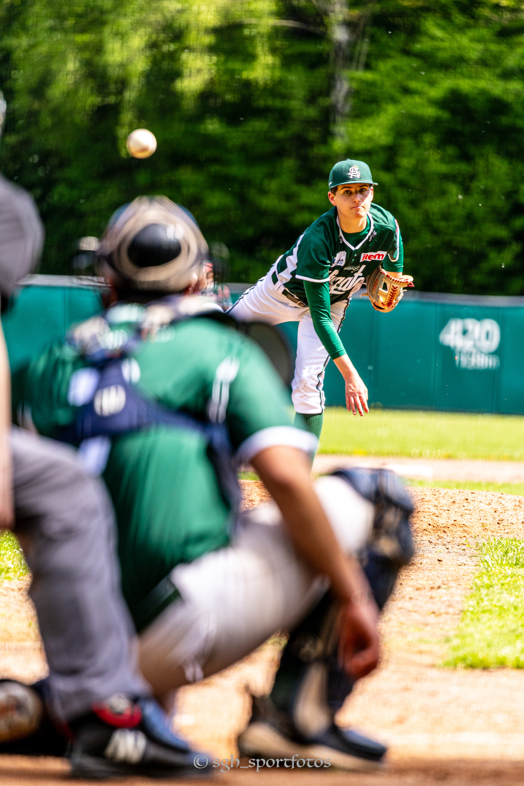 Baseball Solingen Alligators