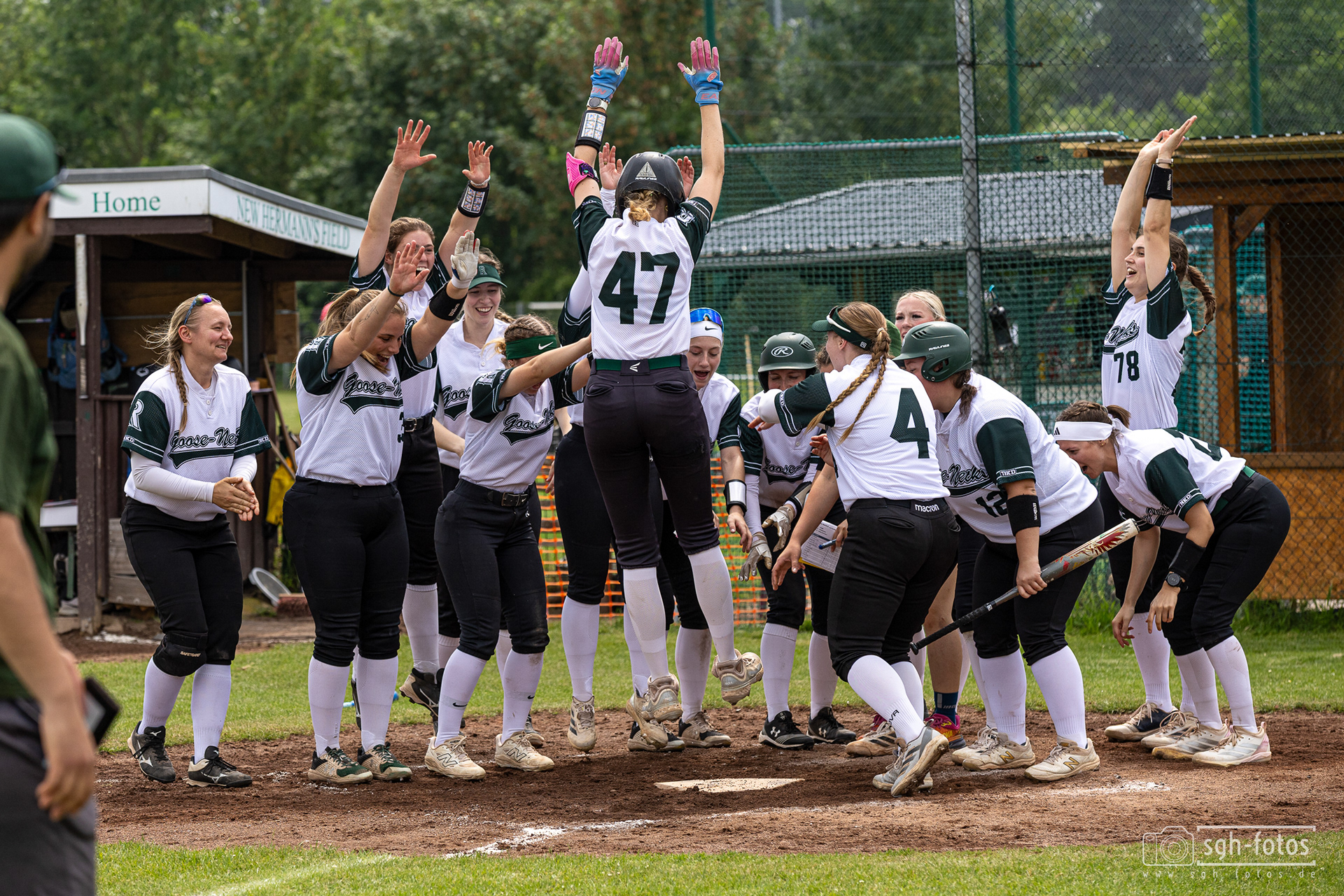 Softball Ratingen Goose-Necks