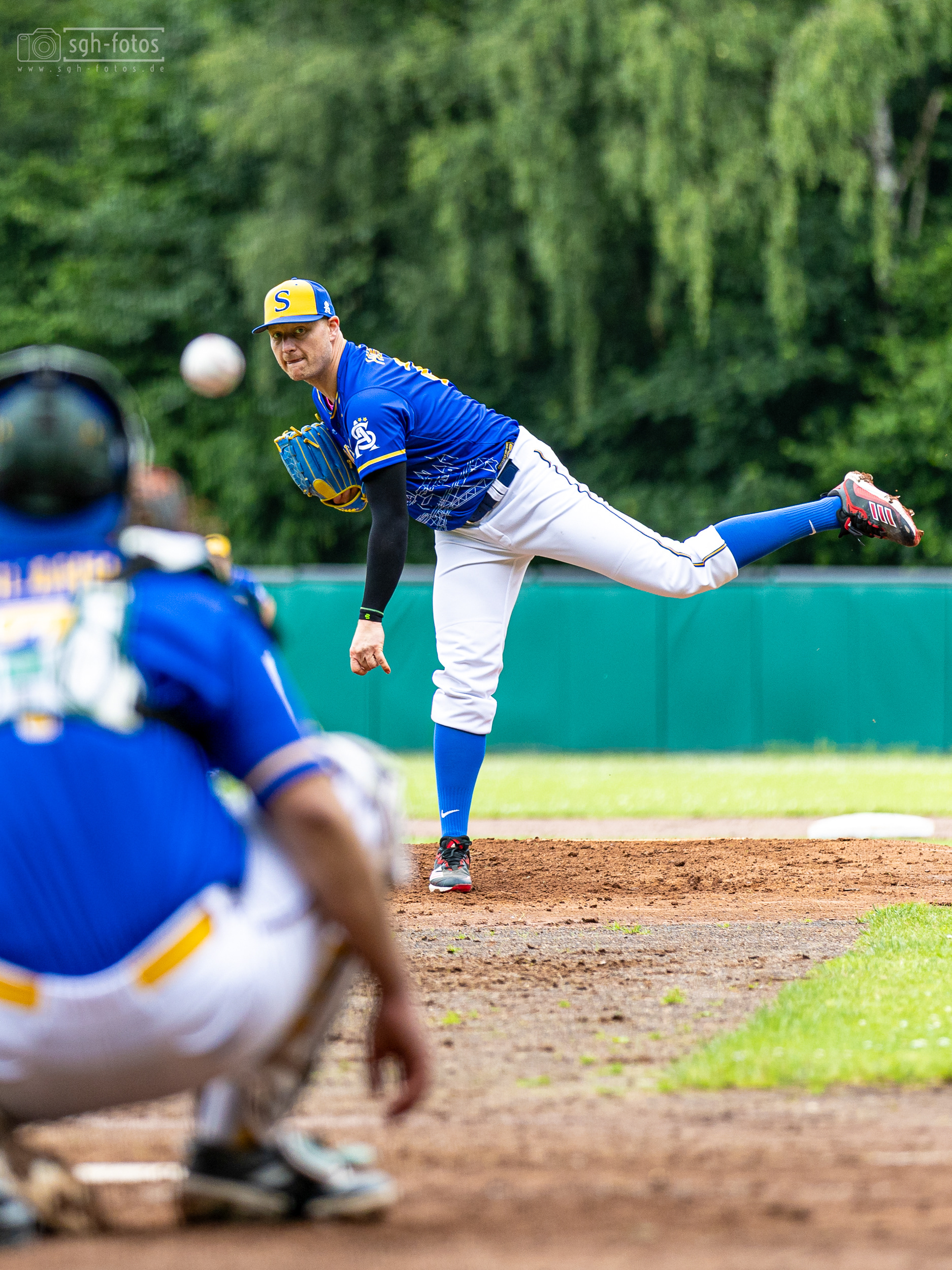 Baseball Solingen Alligators
