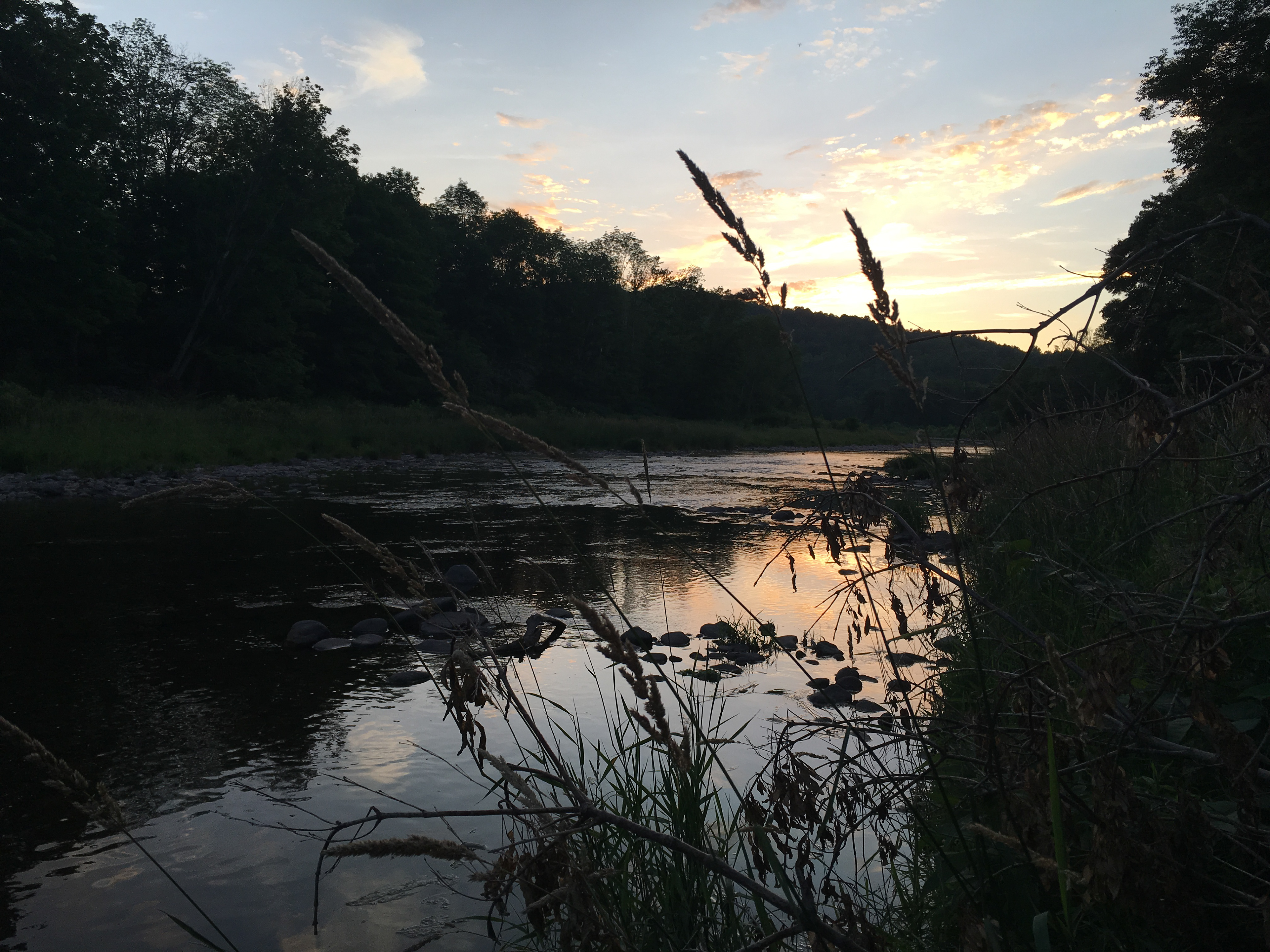 Lexington, NY