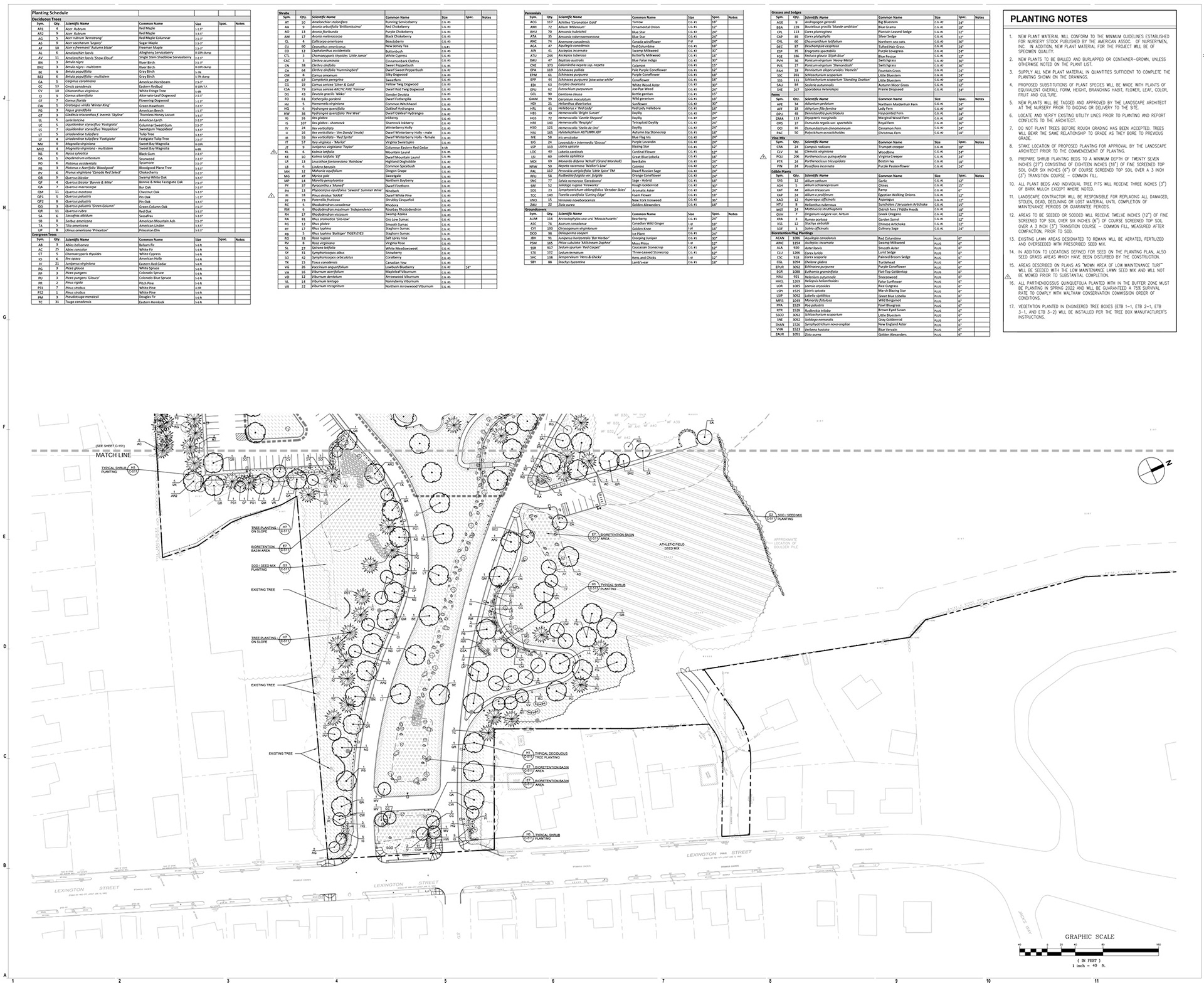 Planting Plan II