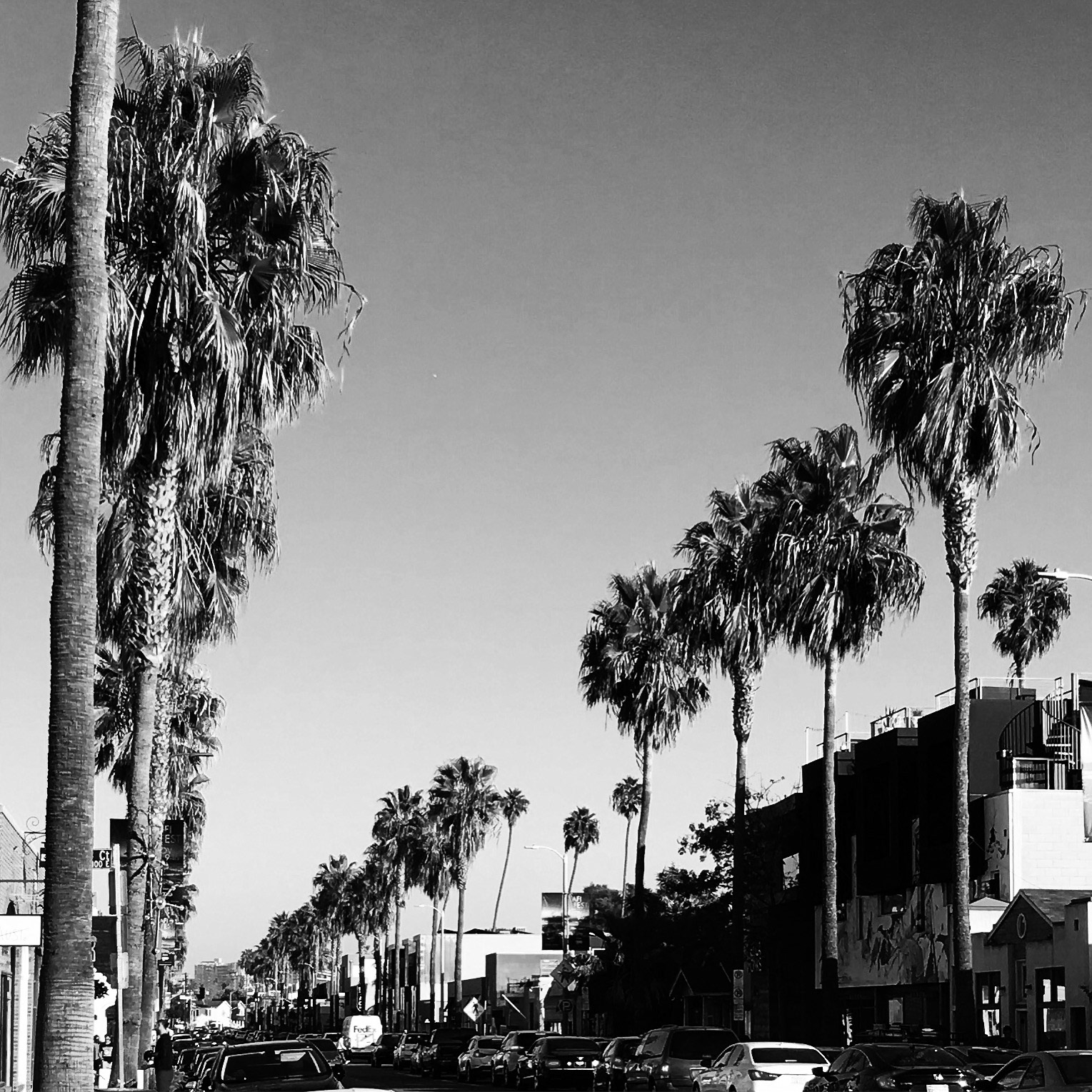 Venice Beach, CA