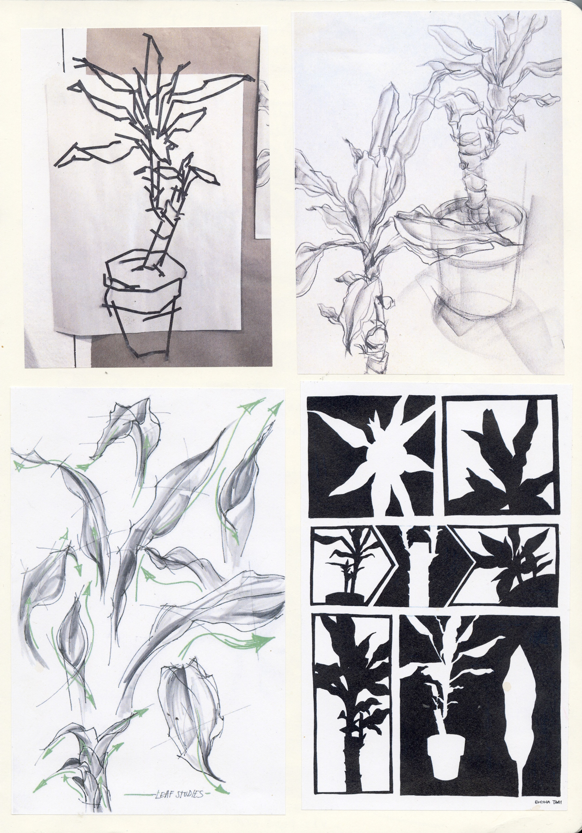 Plant Form Exploration