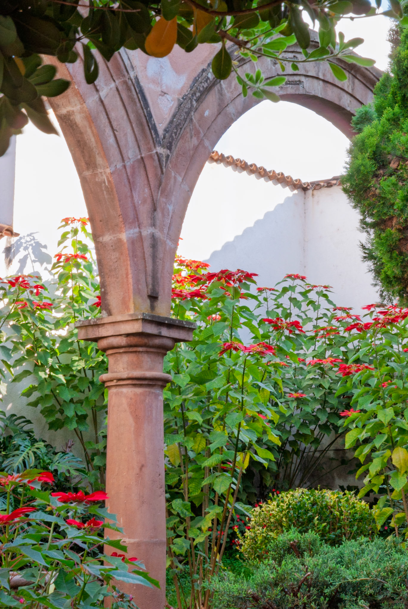 Pátzcuaro Michoacán