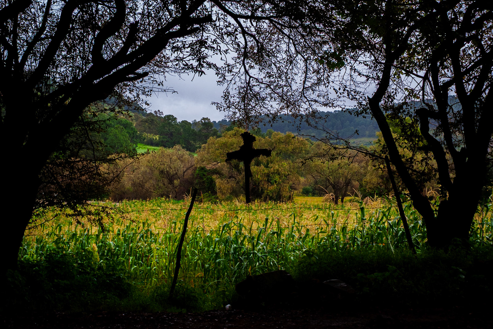 Some of the countryside near Morelia, Michoacán
