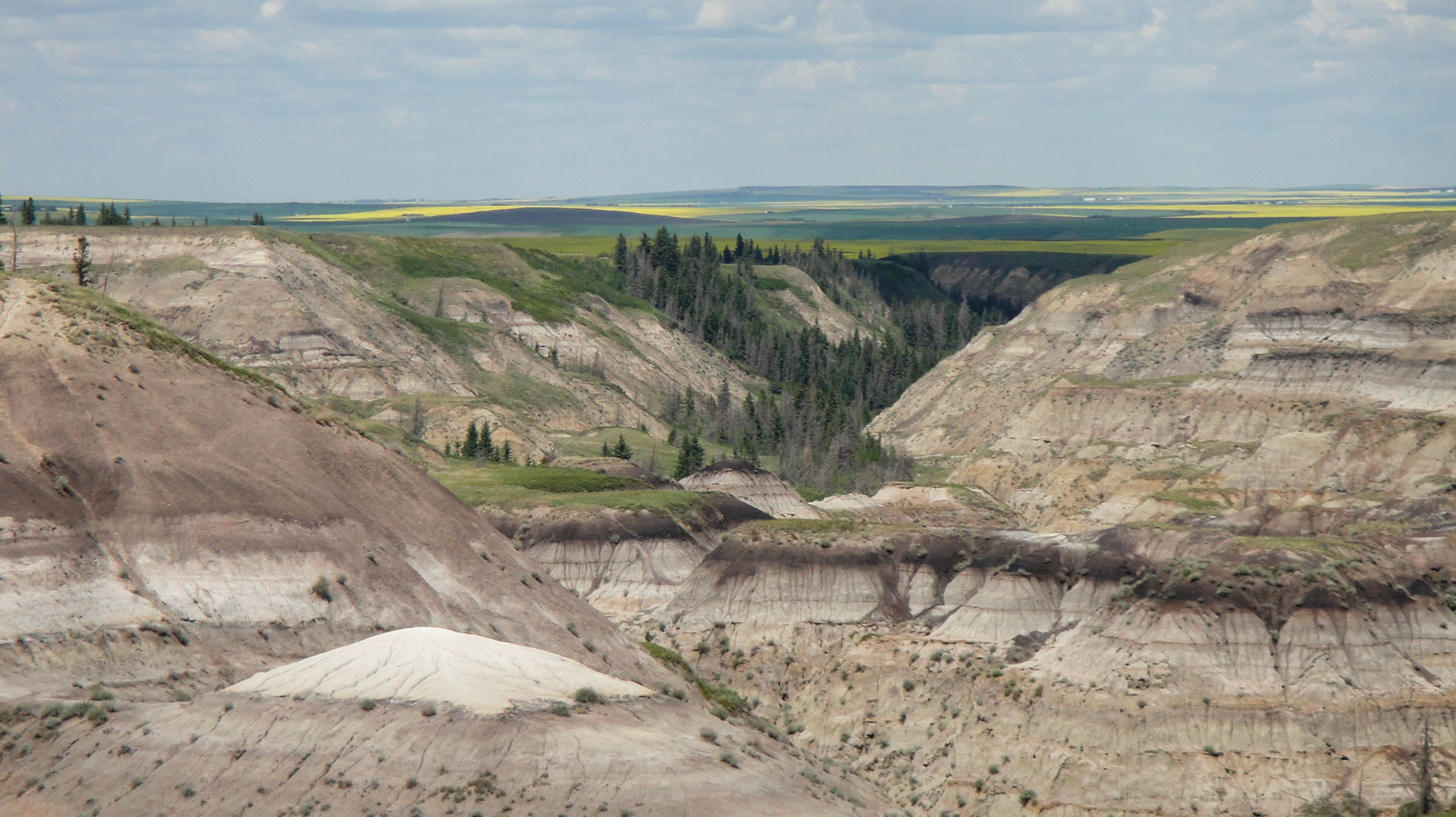 Bad Lands
