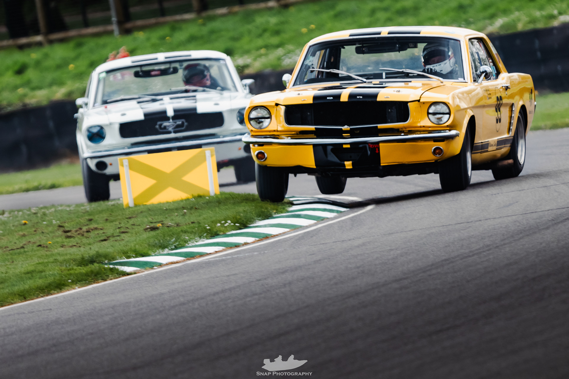 81st Members Meeting