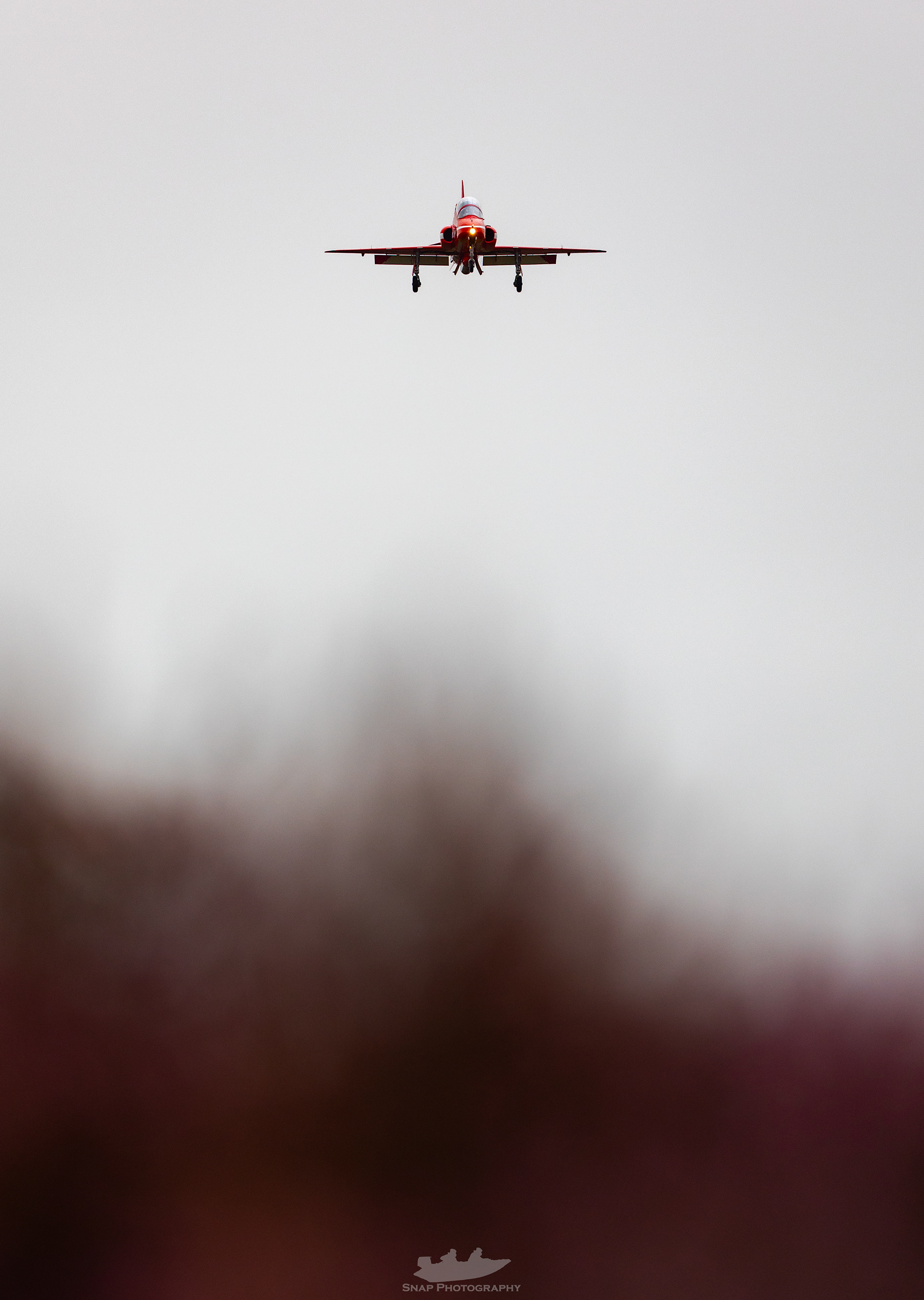 The Reds 