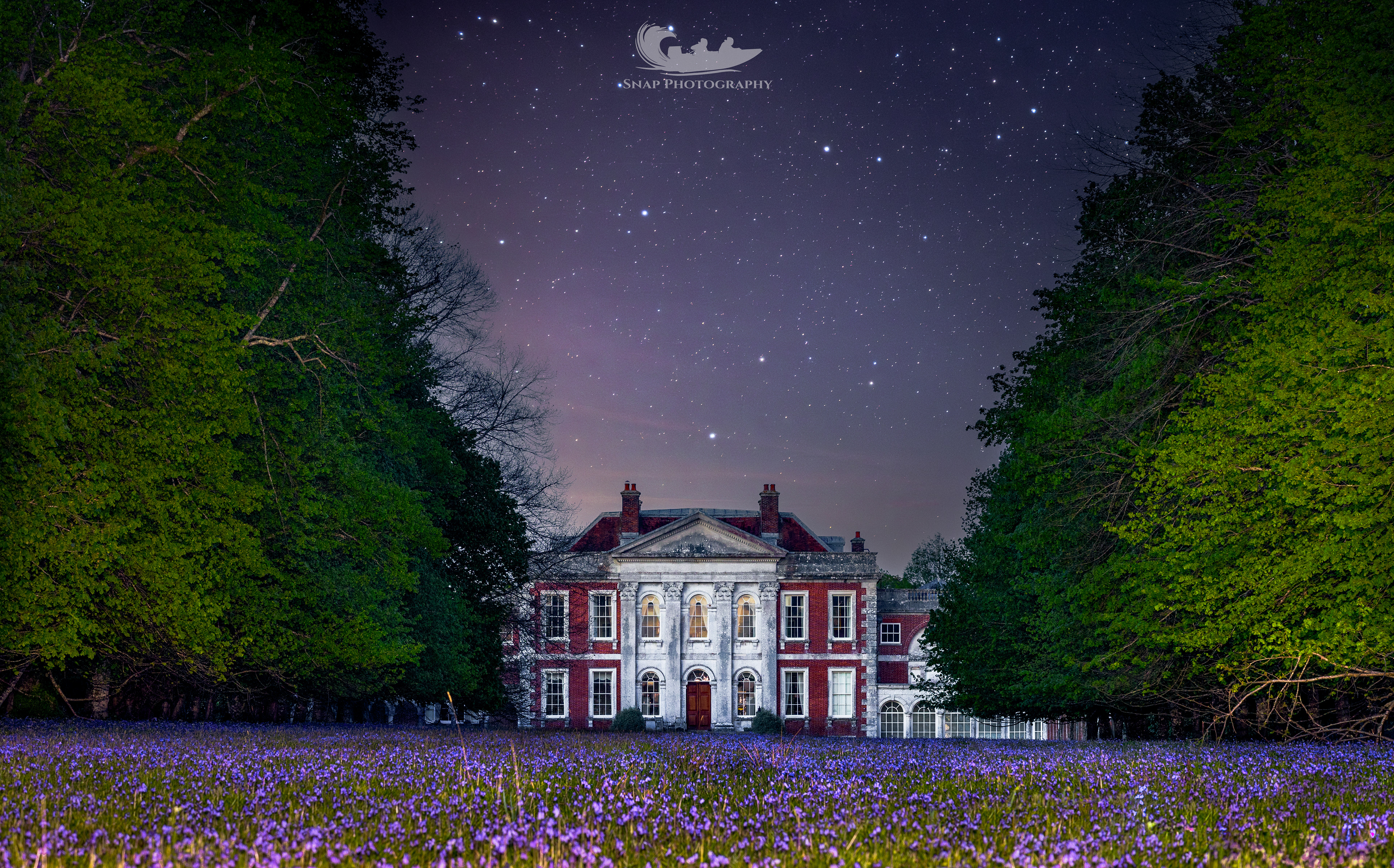 Bluebells at night. 