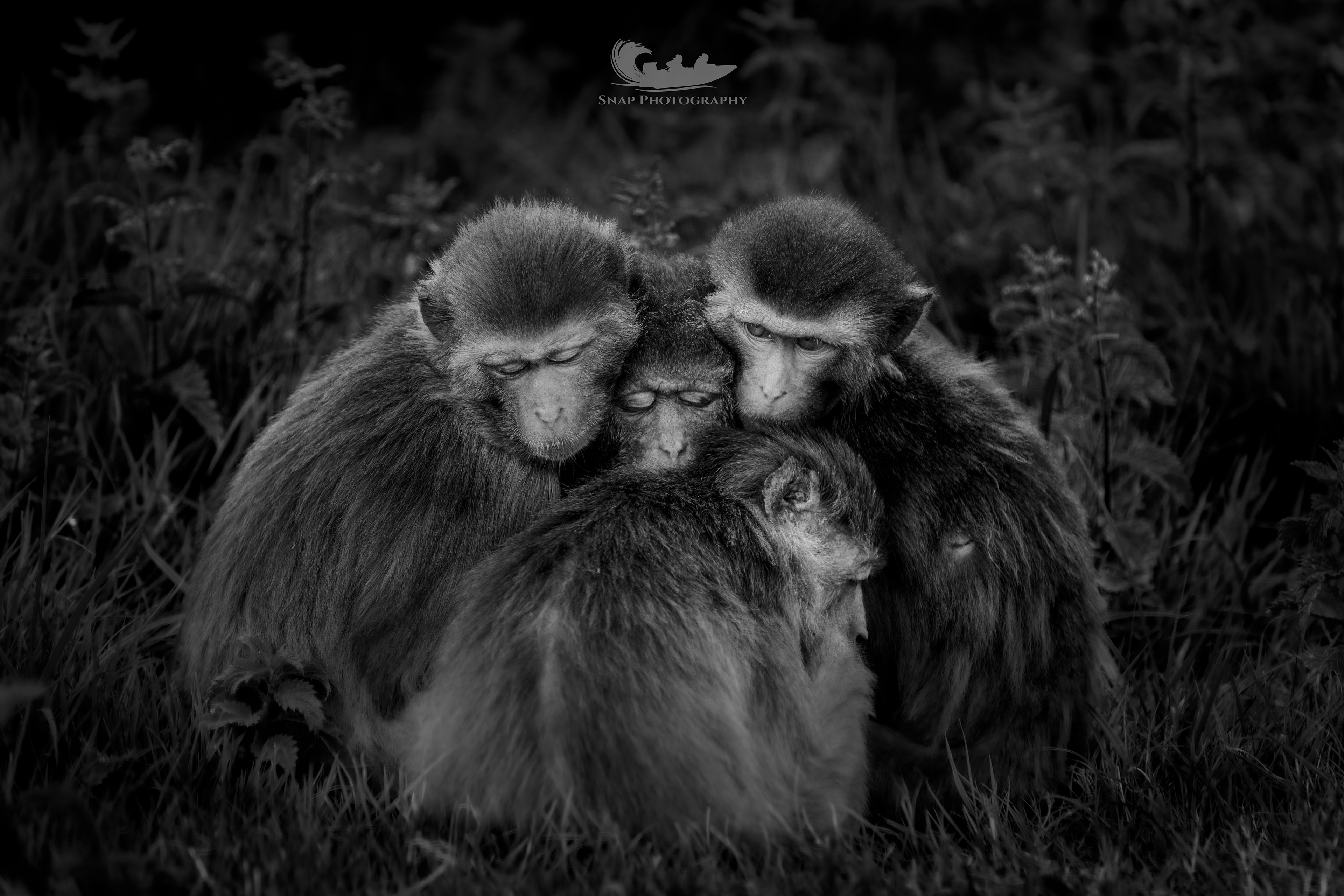 Longleat