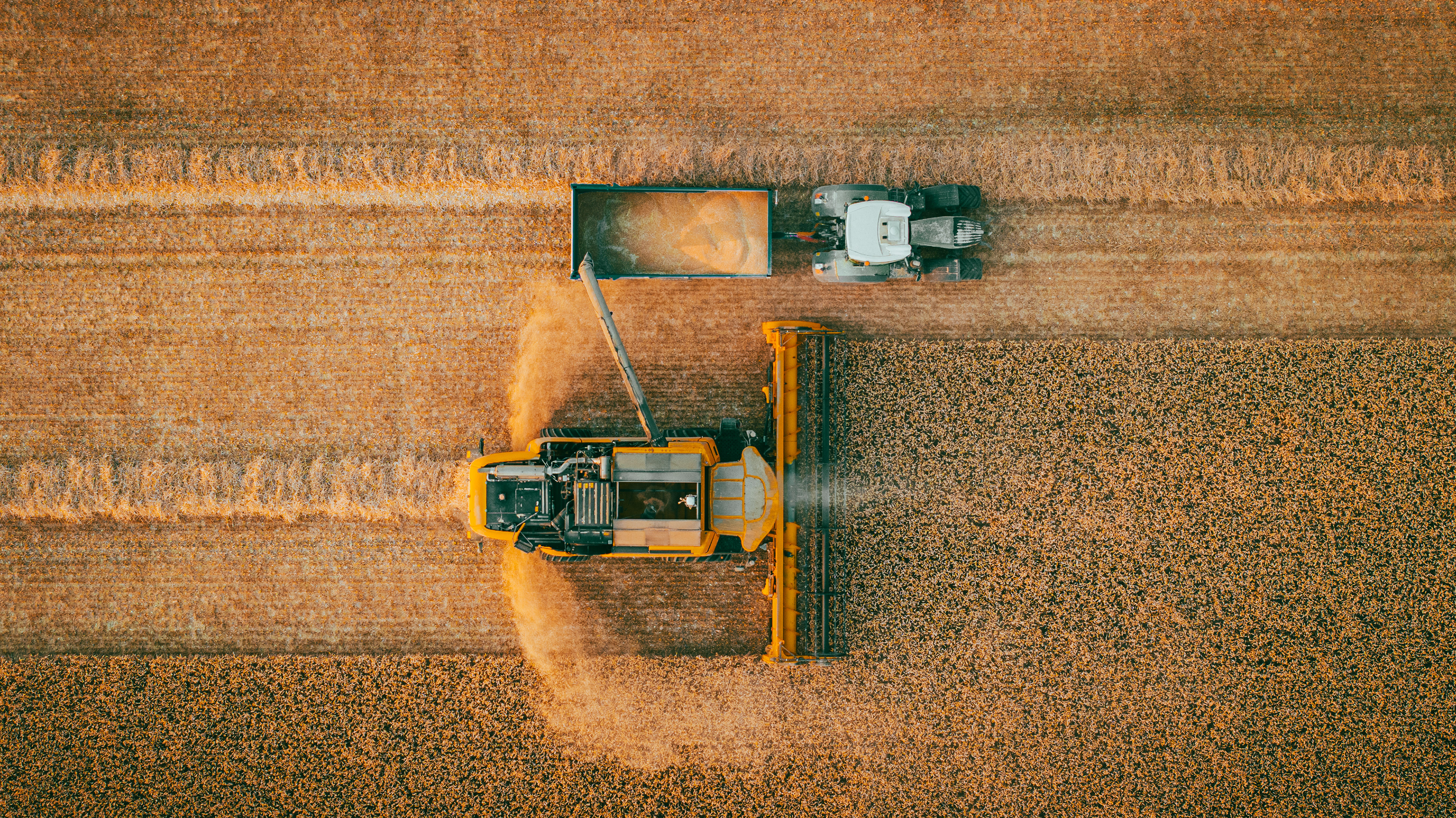 Harvest