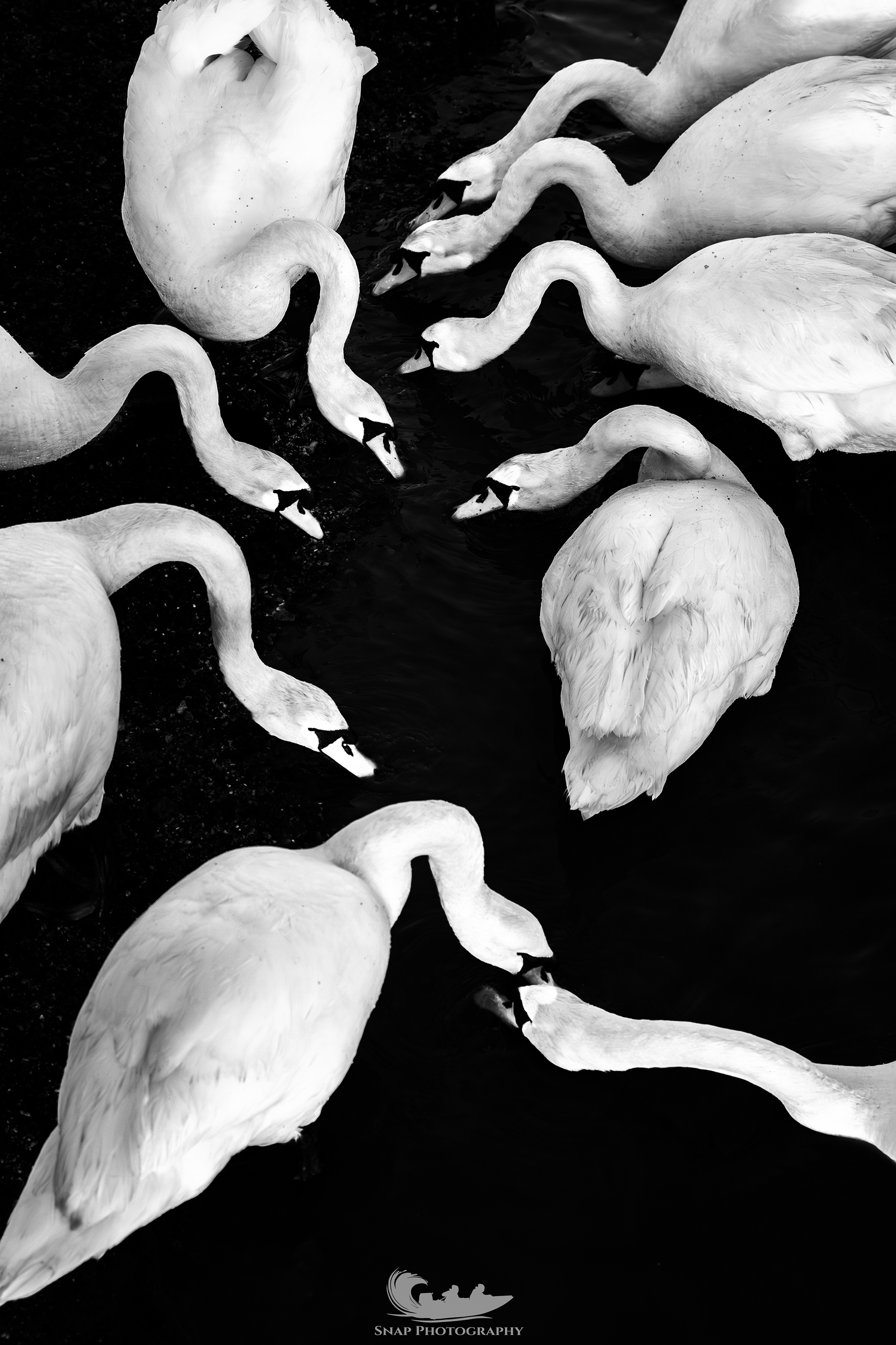 Feeding time
