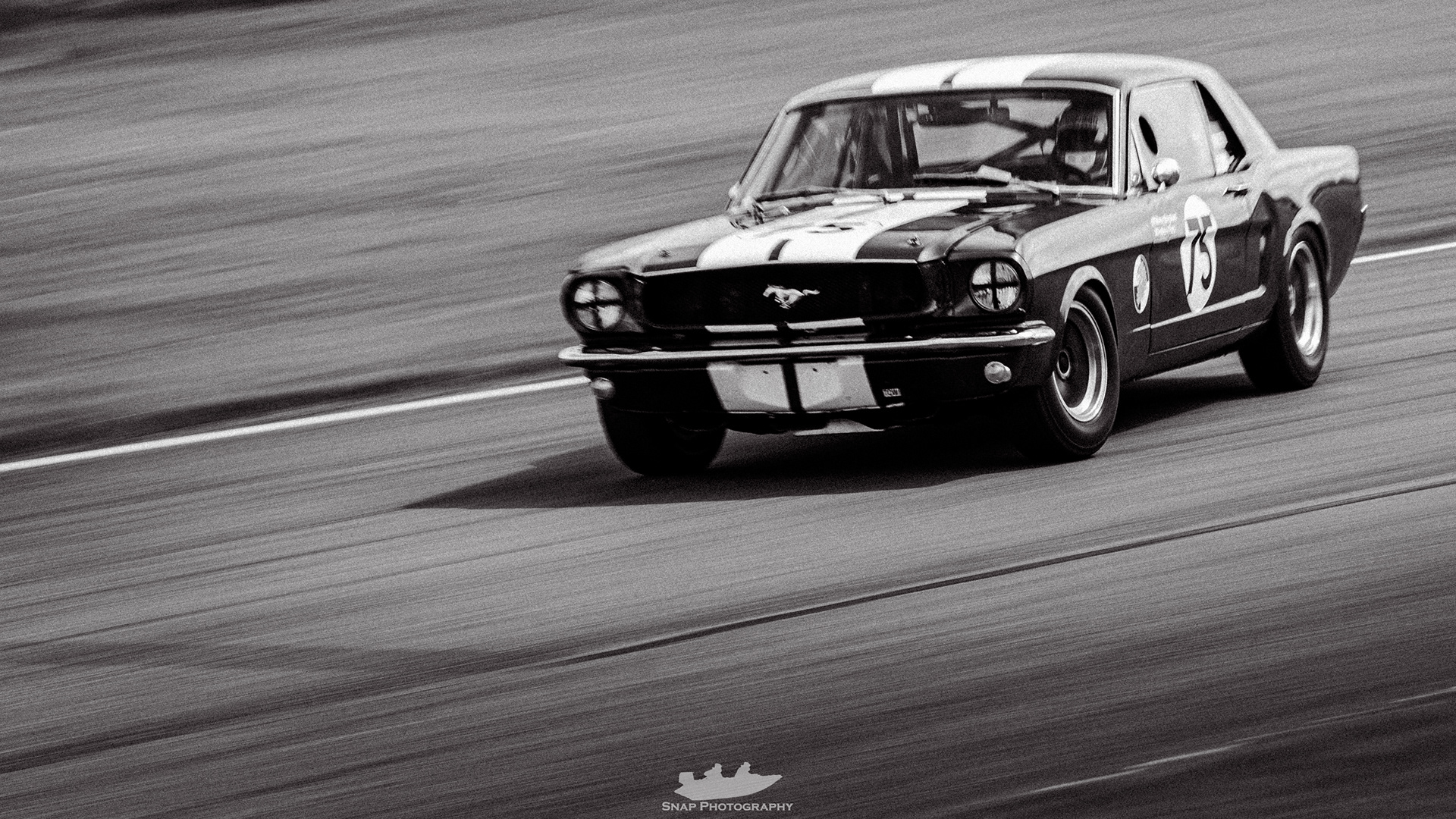 81st Members Meeting