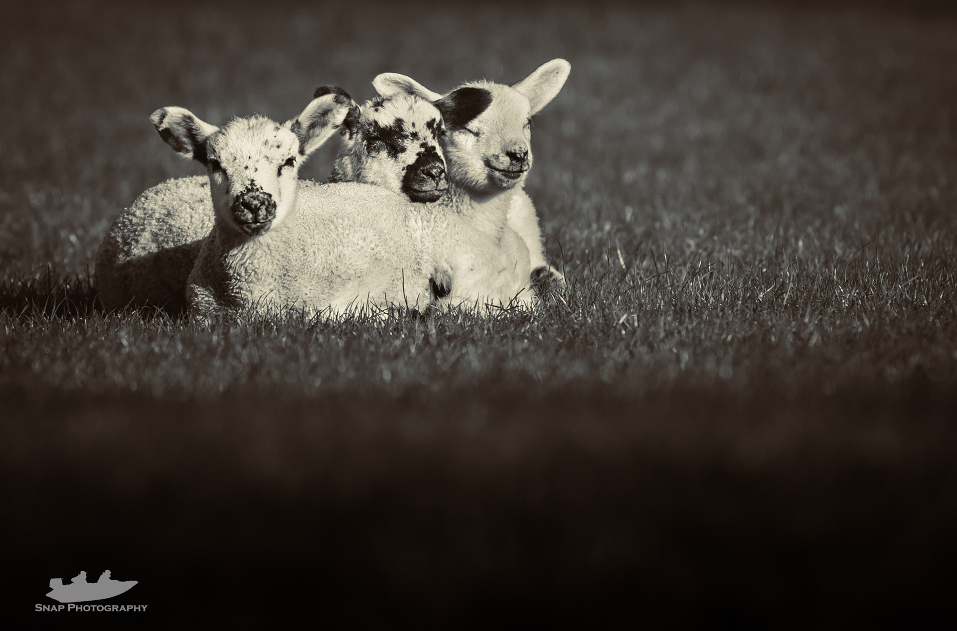 Spring is in the air