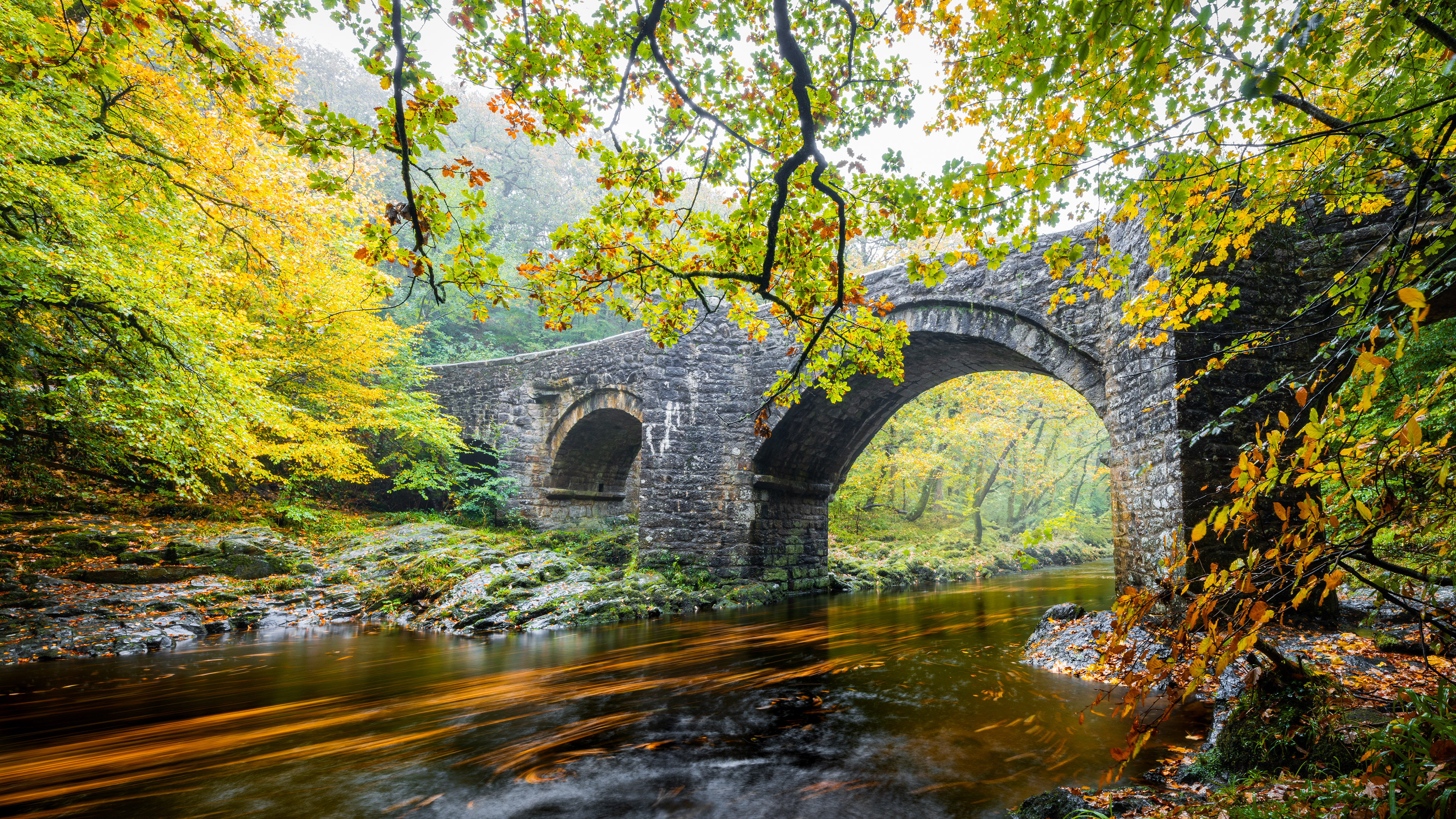 Autumn colours of Dadrtmoor