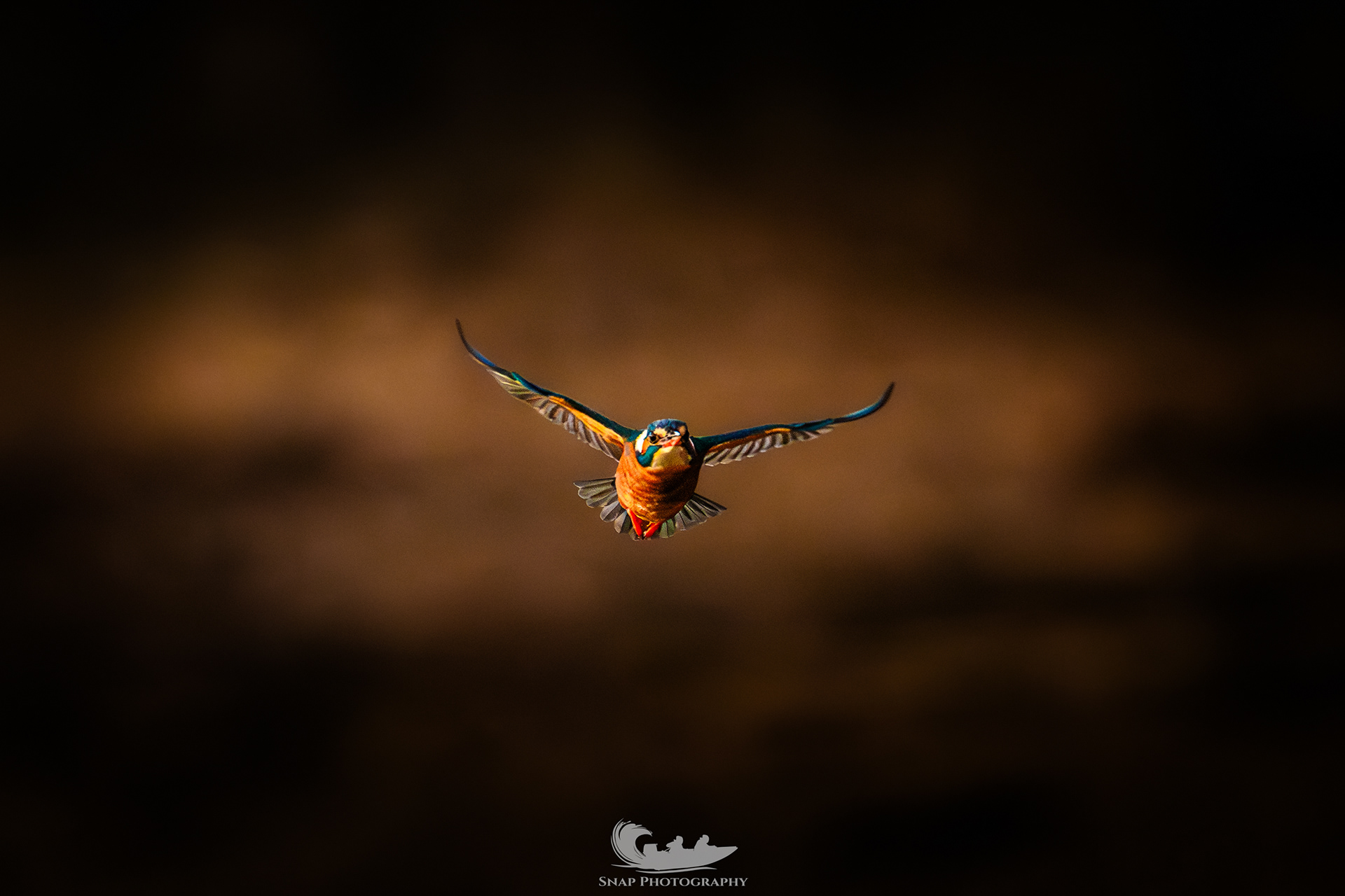 Mrs Kingfisher