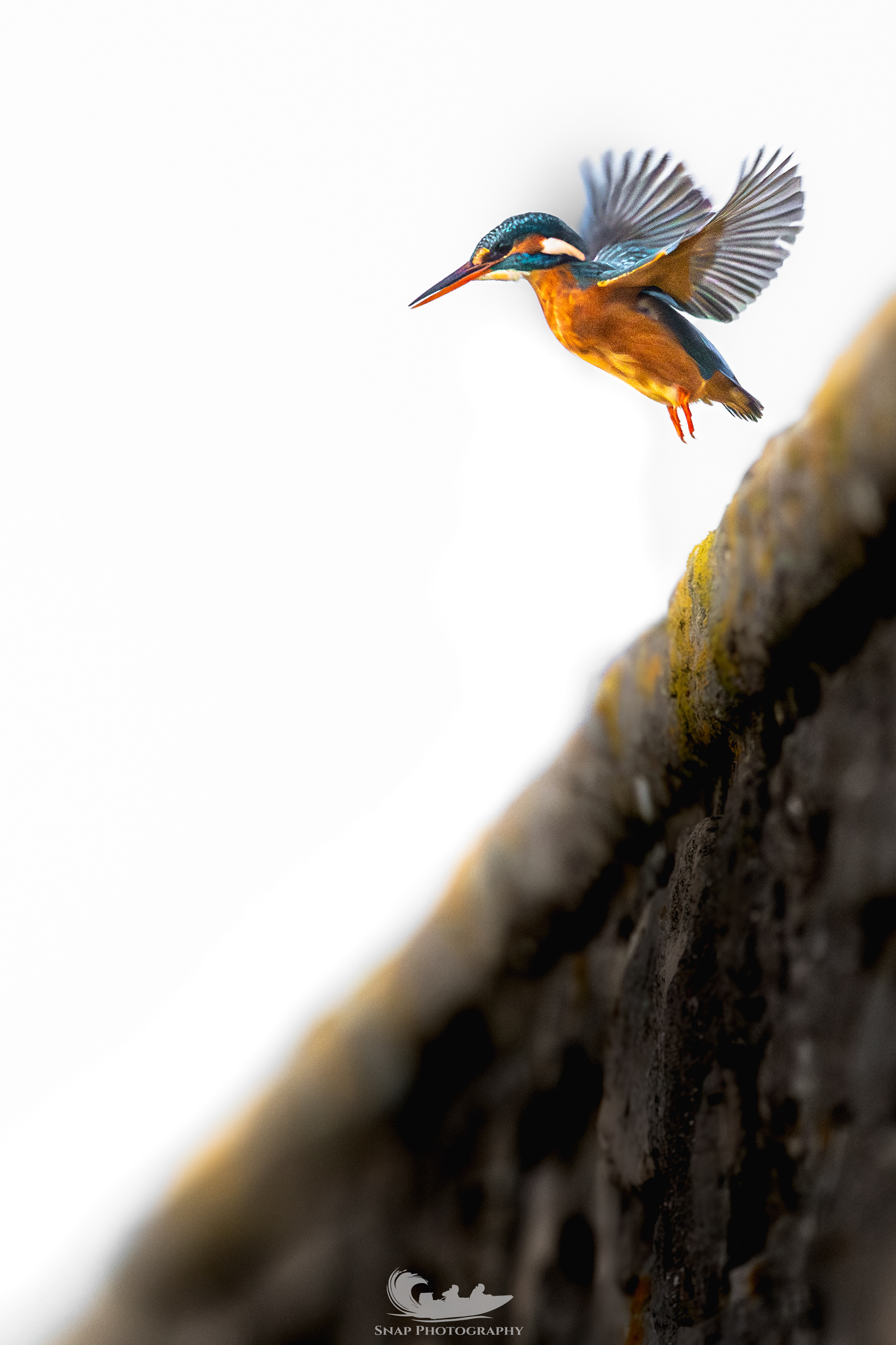 Mrs Kingfisher
