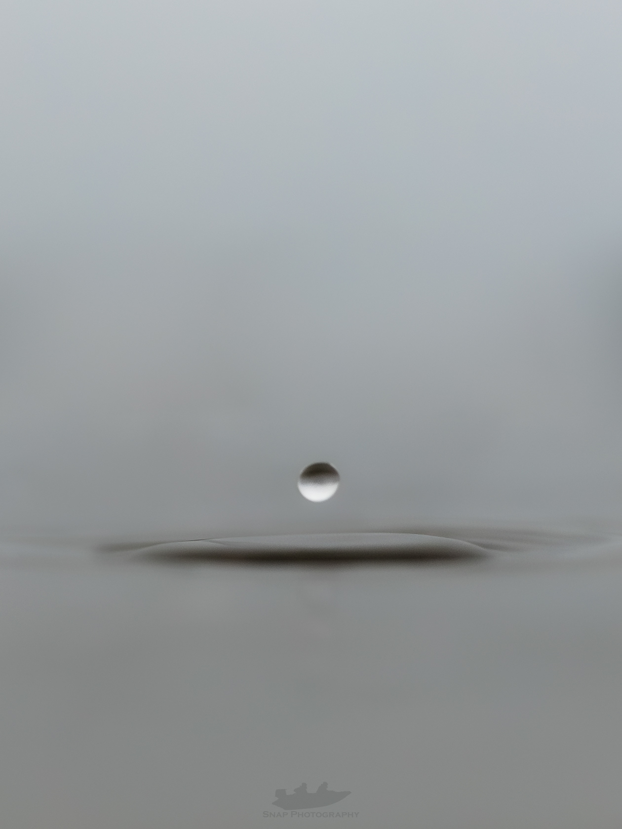 Raindrops into the harbour