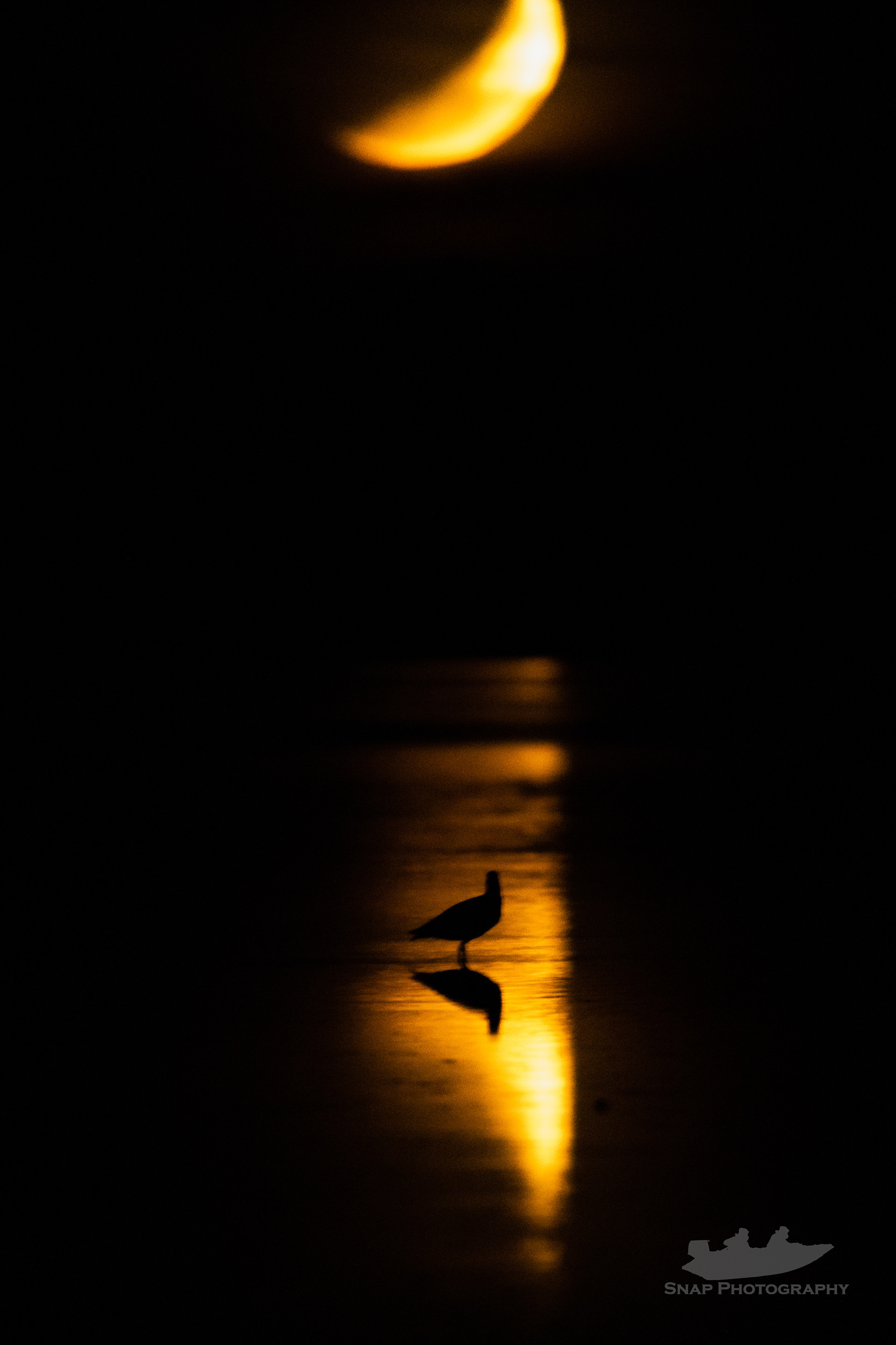 Moonset over Christchurch harbour 