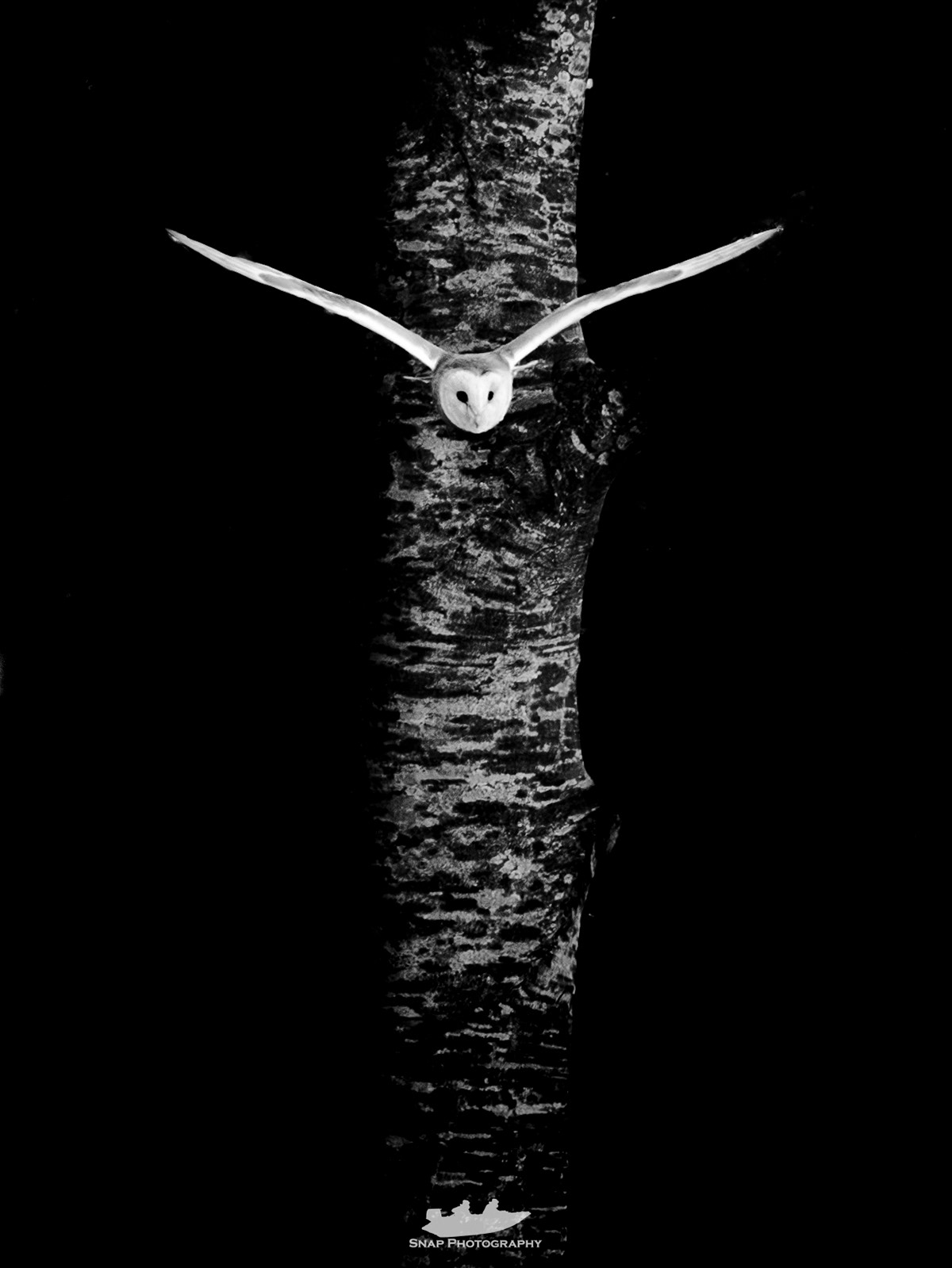Silent hunter