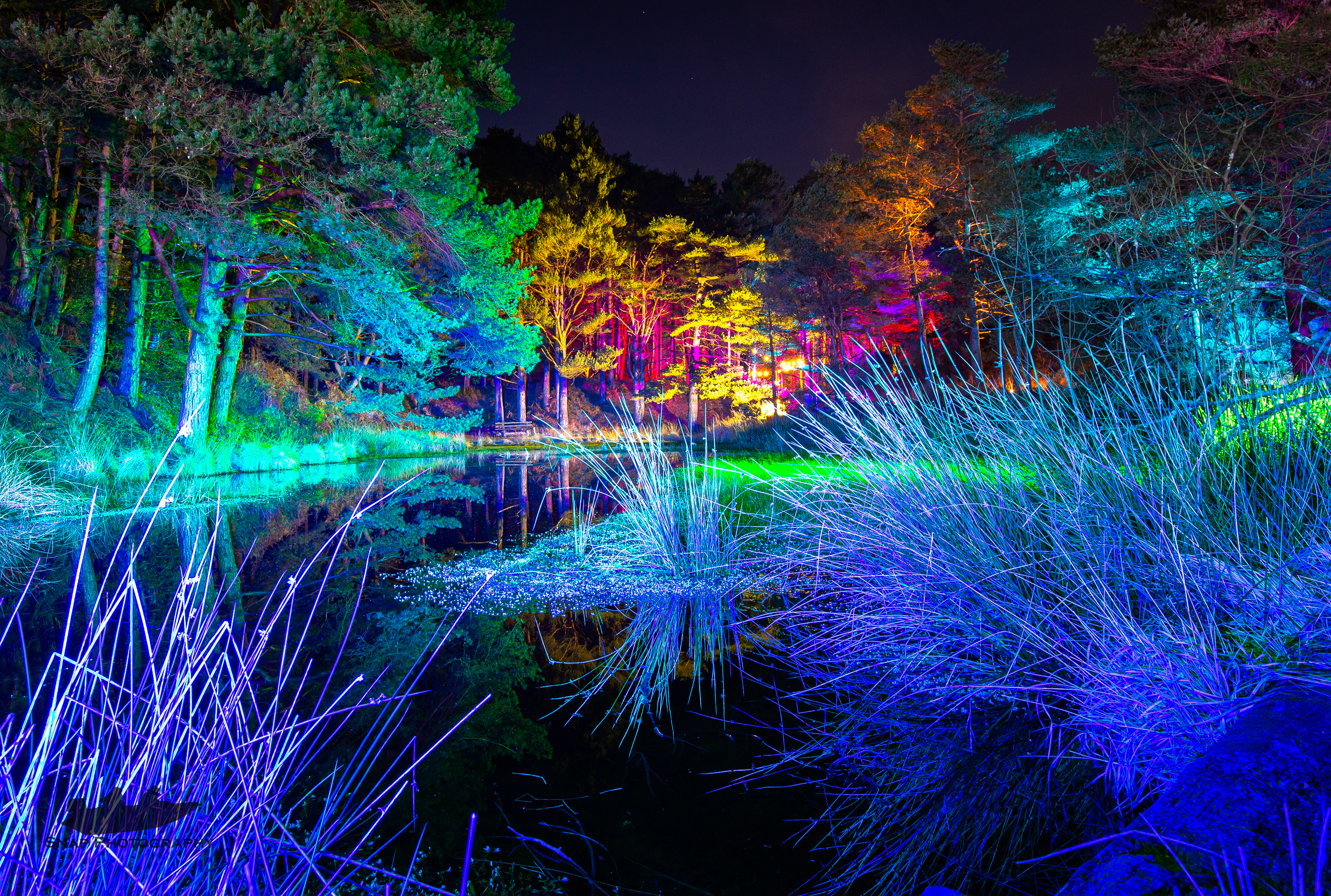 Bluepool light show