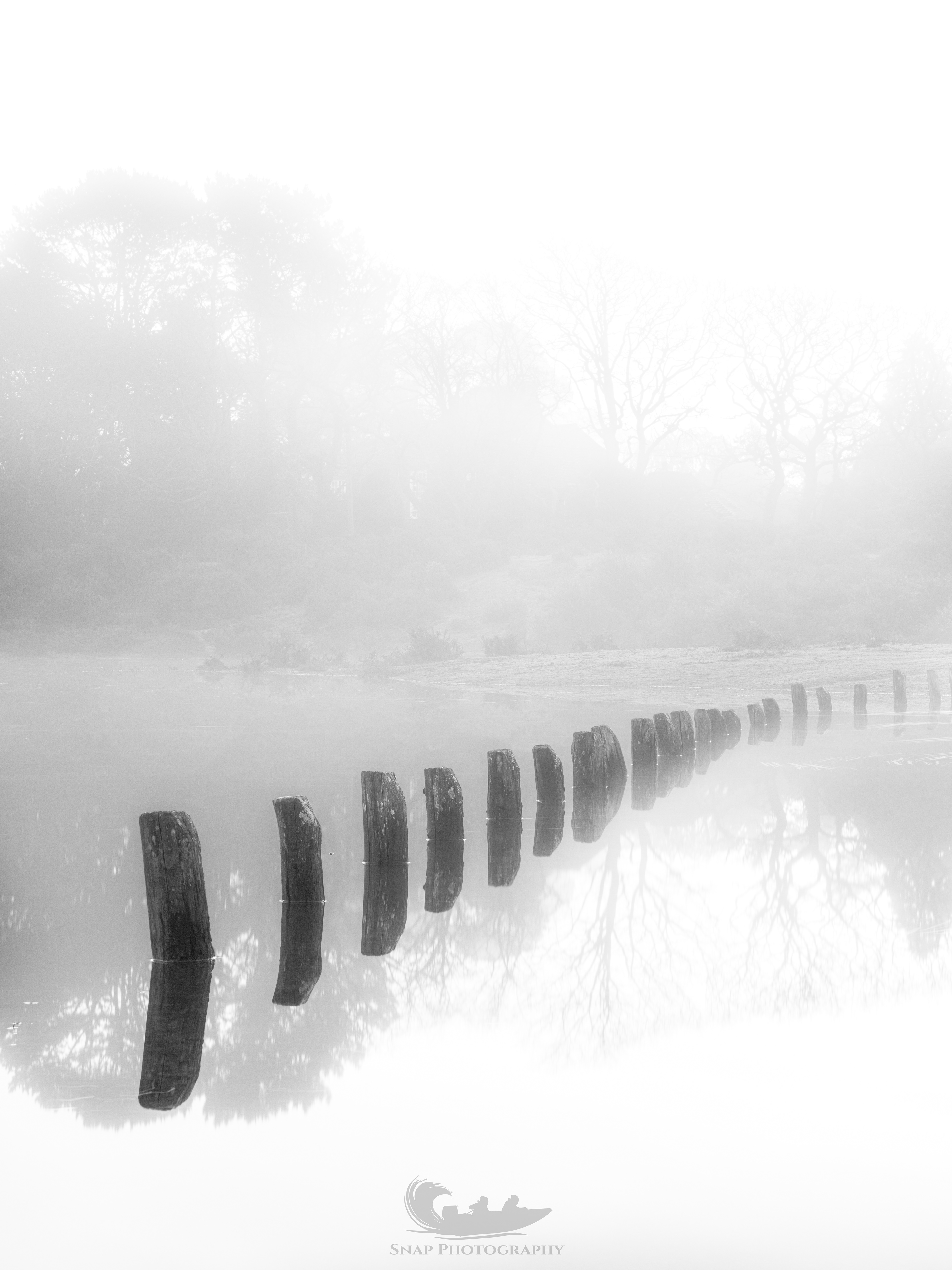 A misty New Forest morning