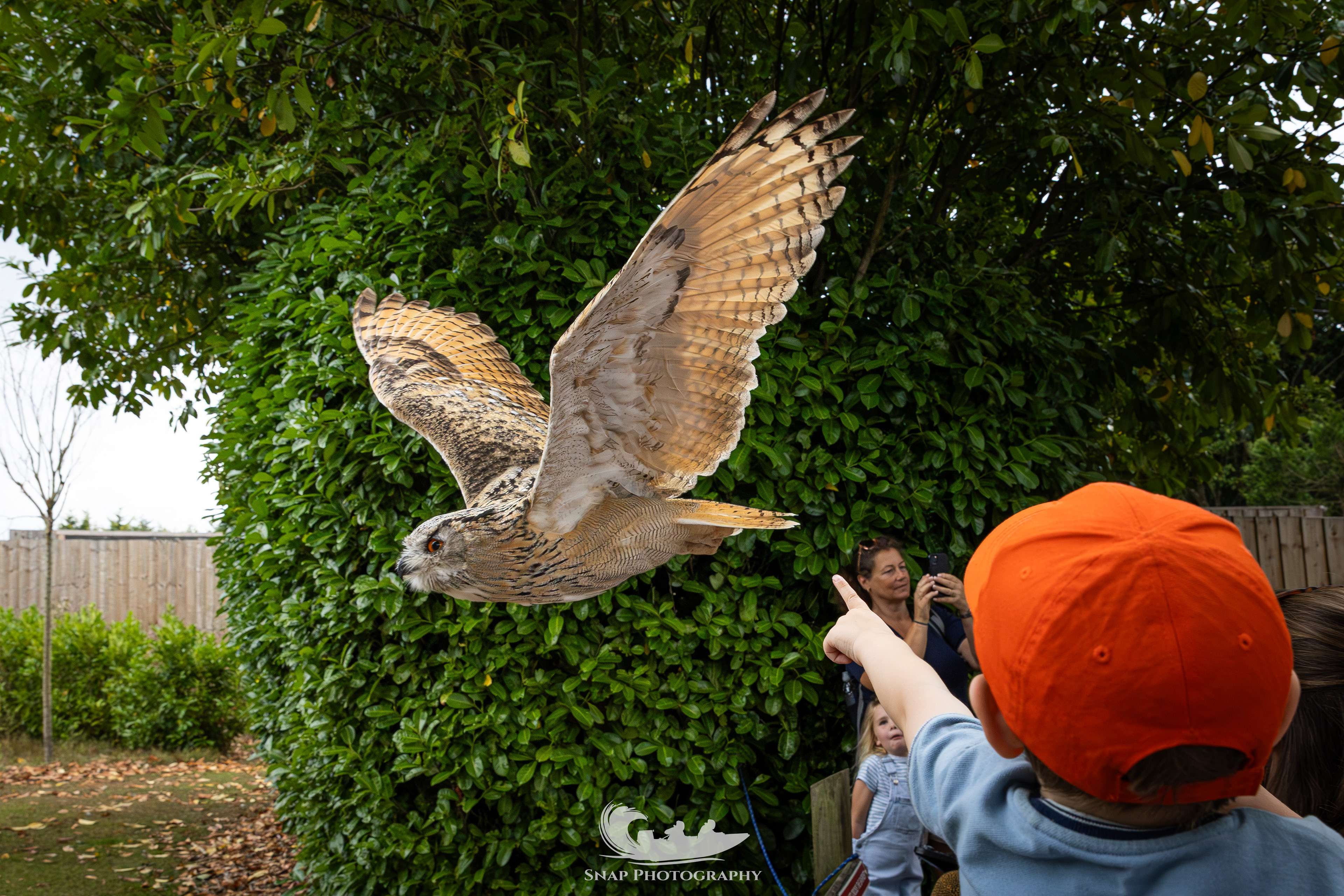 Liberty's owl and raptor centre