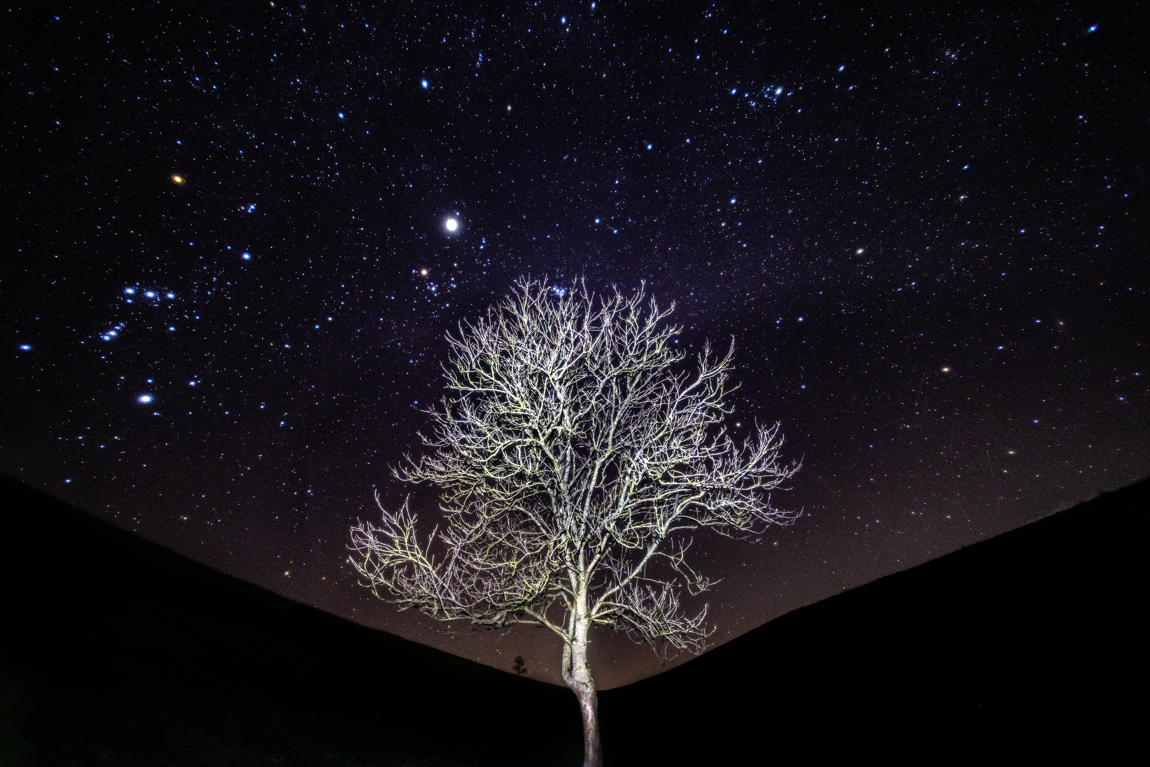 Astro tree
