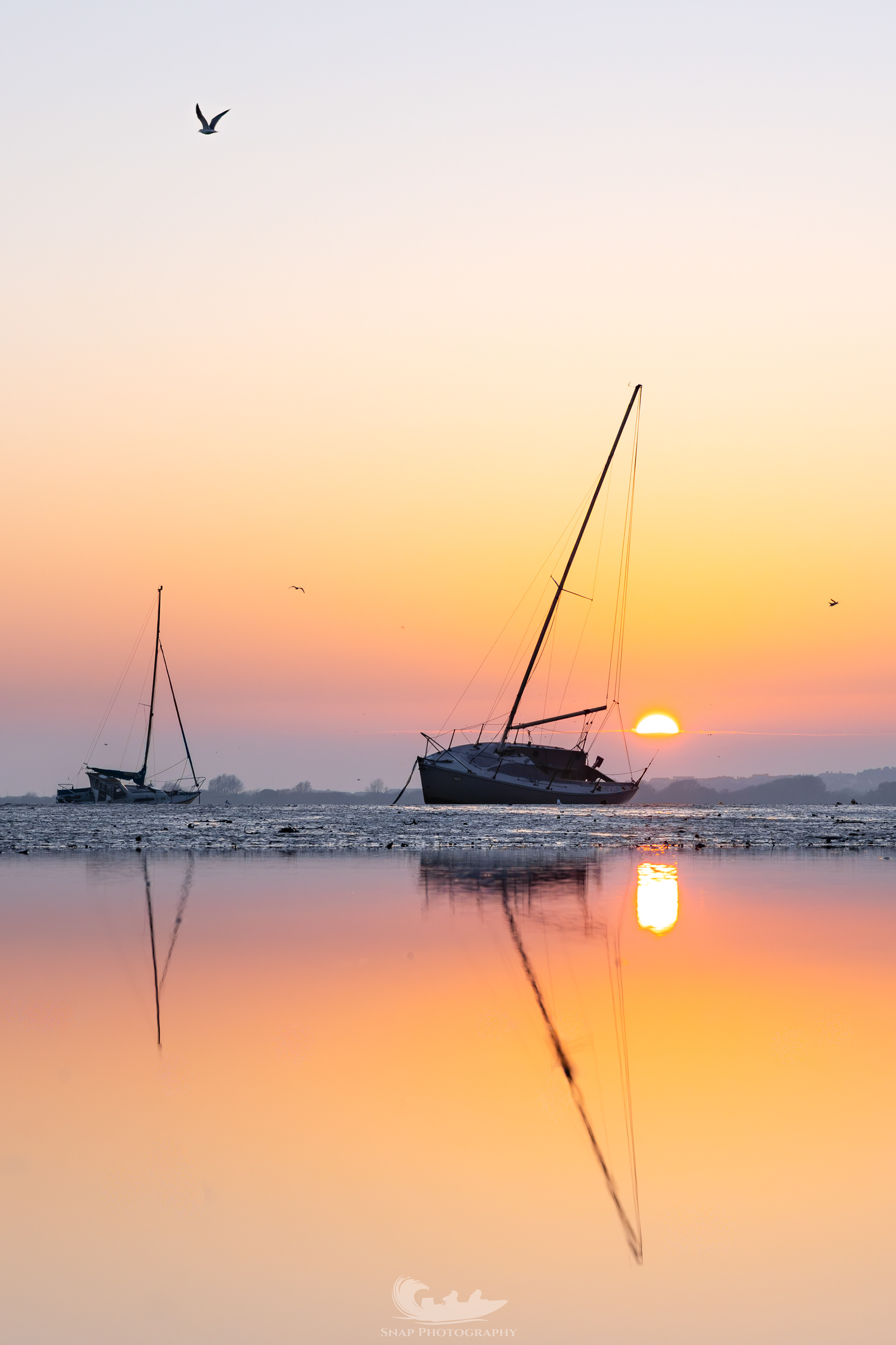 Spring, is that you...