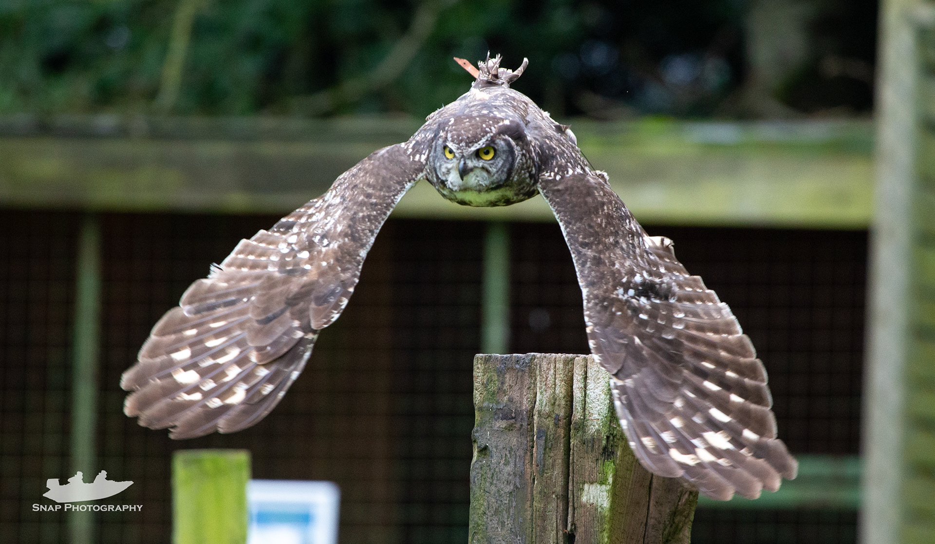 Liberty's rapture centre 