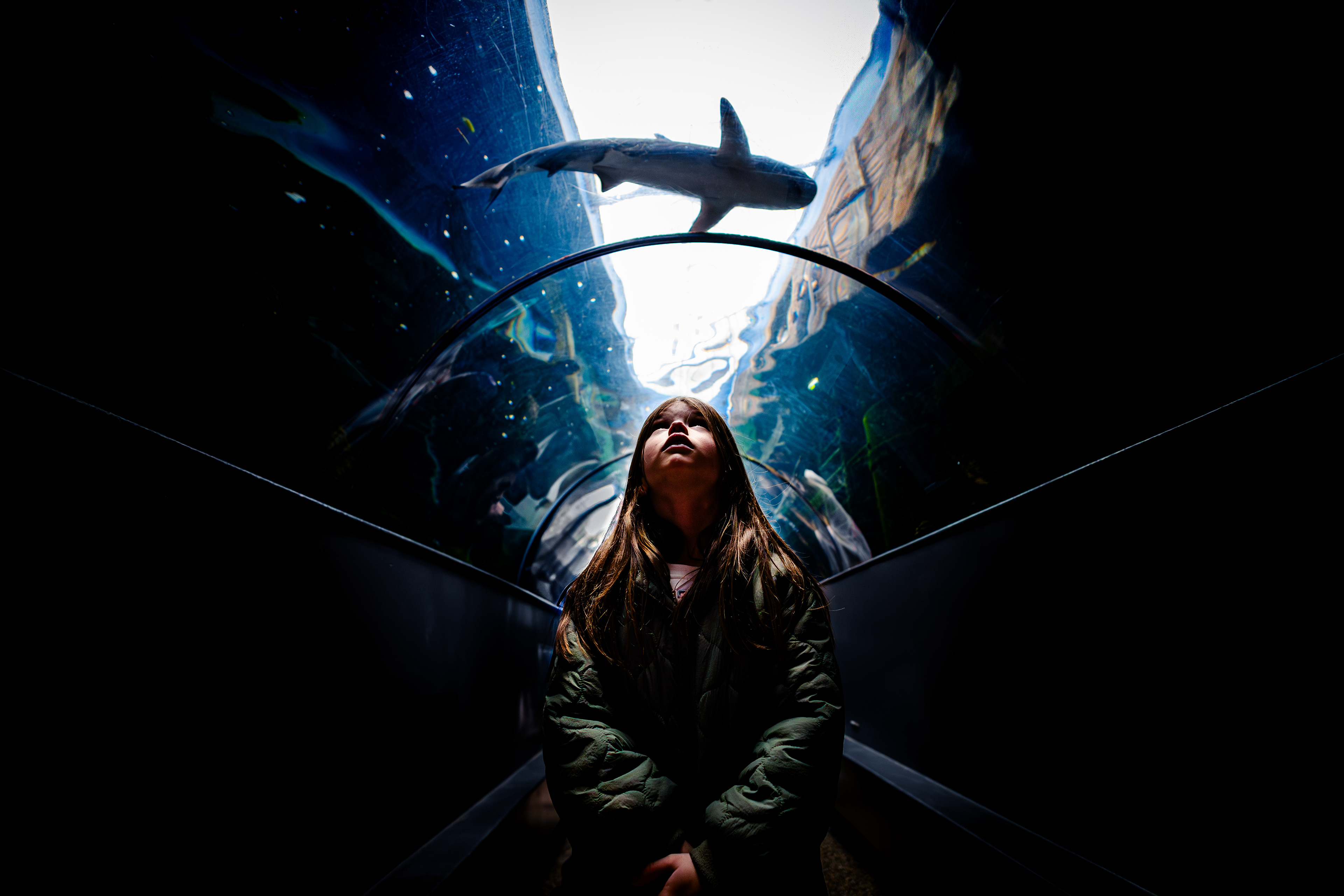 Oceanarium