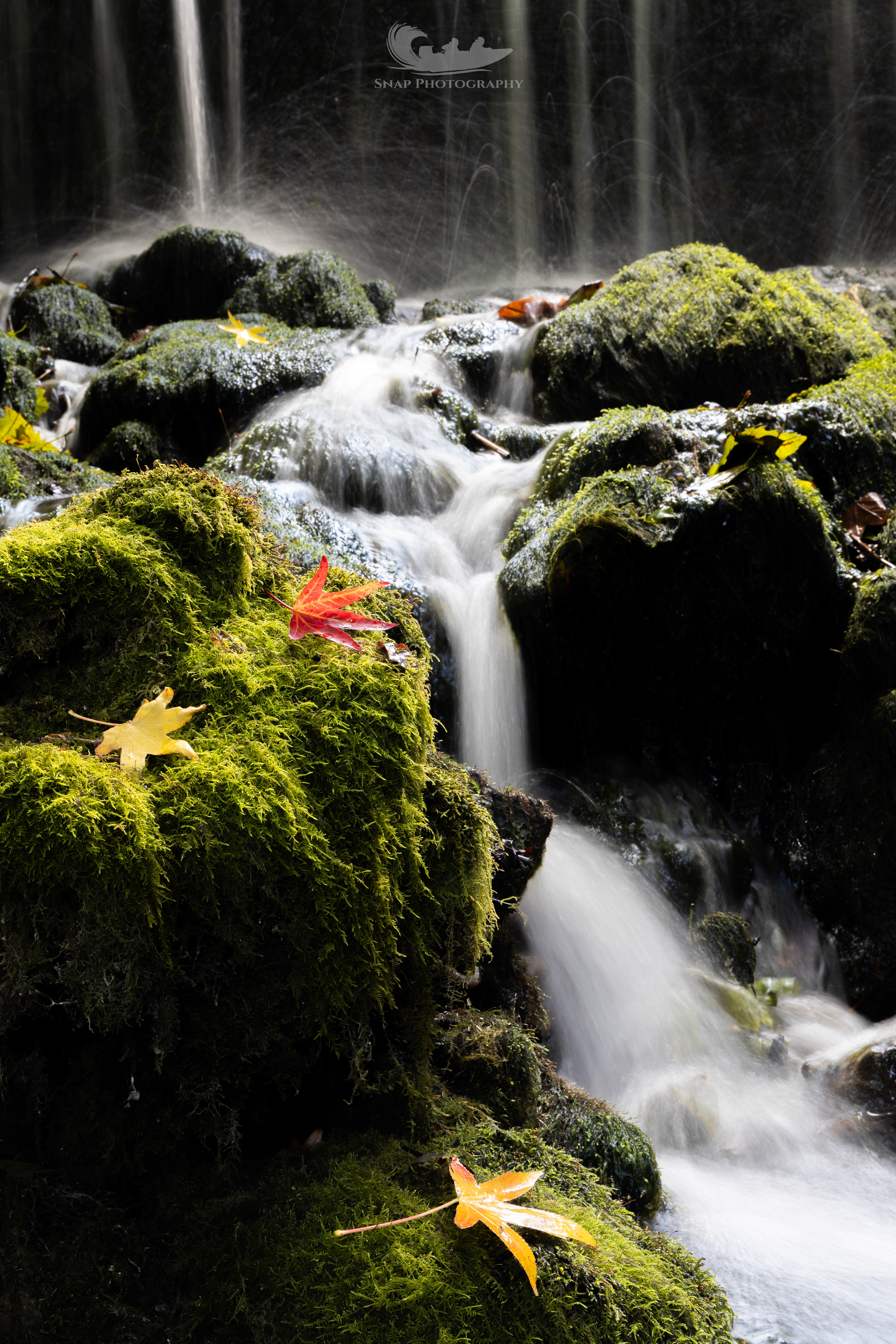 Littlebredy waterfall