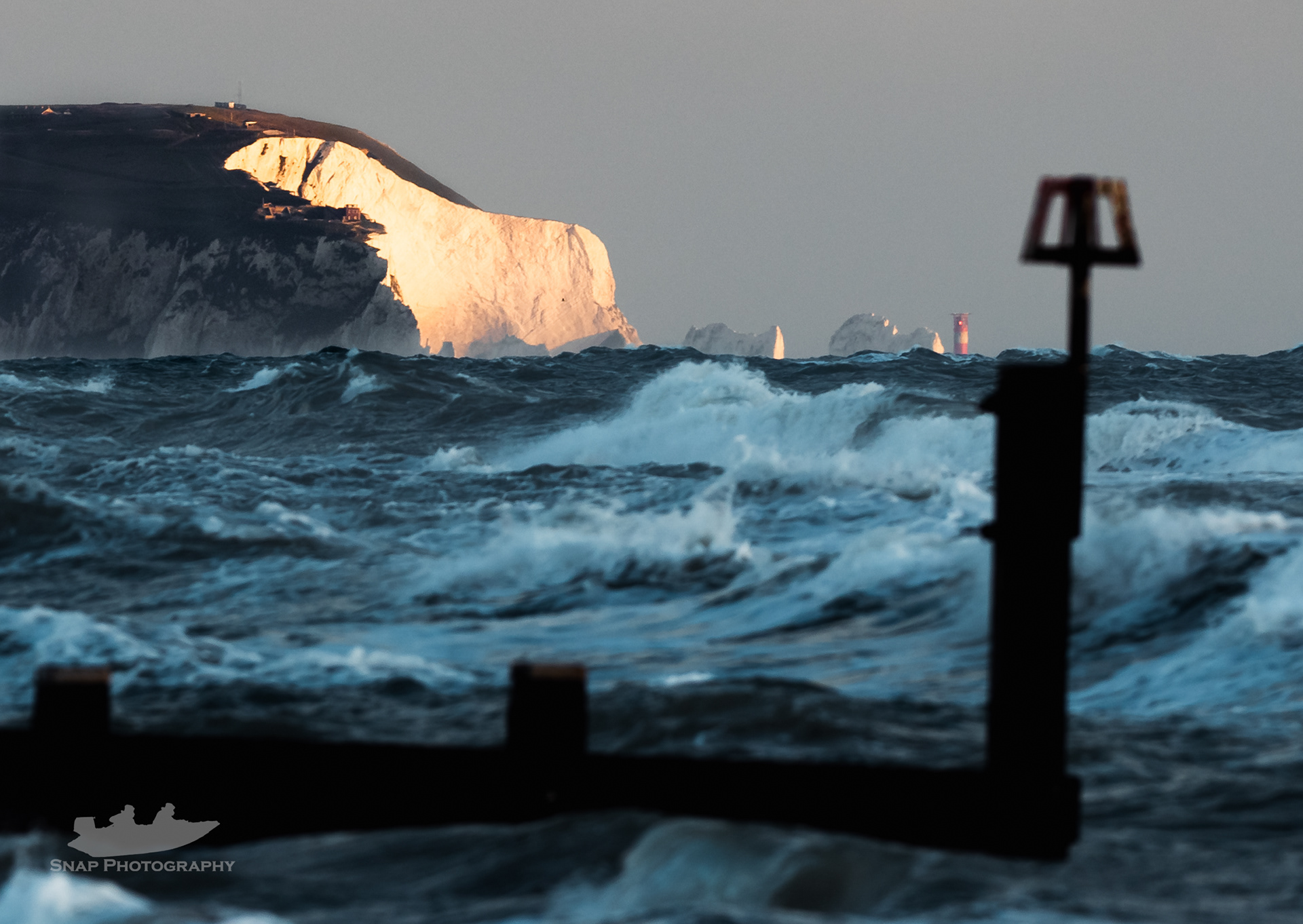 The golden polar bear 